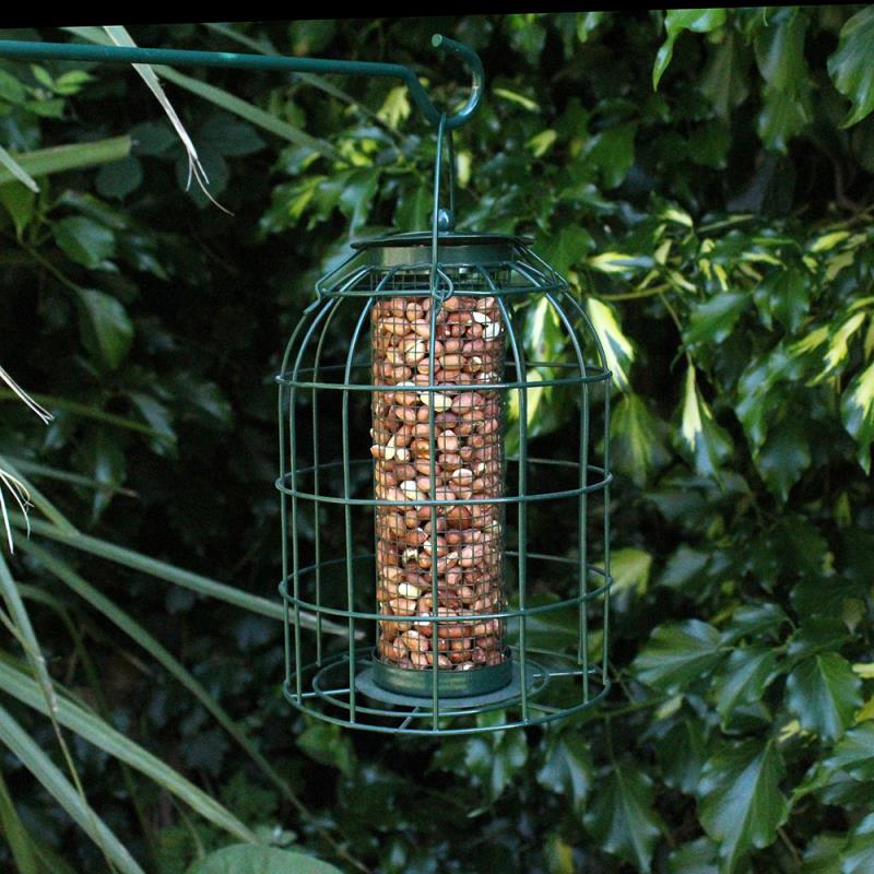 Pack of 3 Natures Market Wild Bird Hanging Nut Seed & Fat Ball Feeder with Squirrel Guard