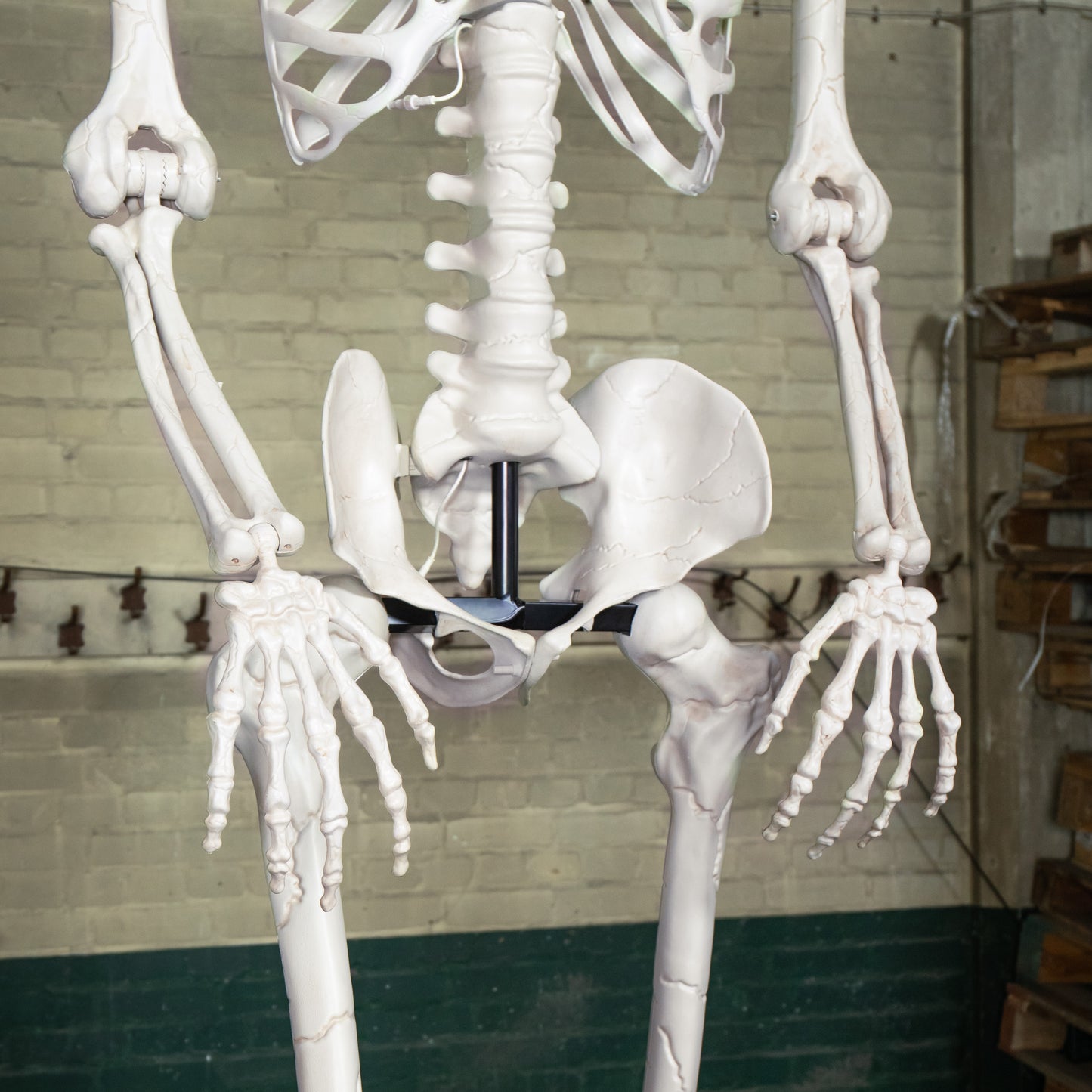 10ft (3m) Posable Full Body Skeleton Halloween Decoration with Movable Arms and LED Eyes