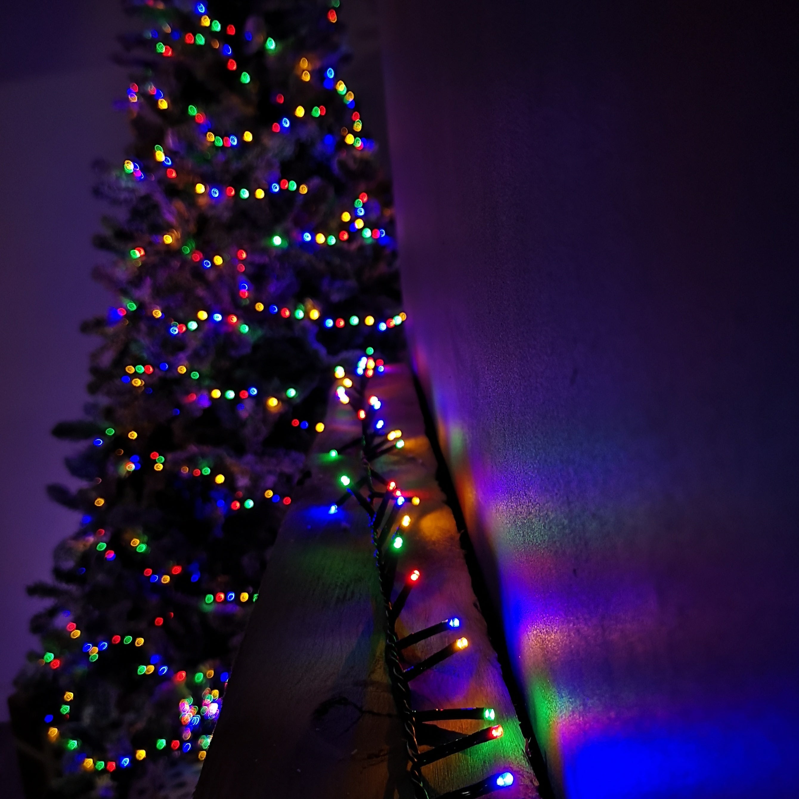 125m Treebrights Christmas Lights with 5000 LEDs in Multi-Coloured with Timer