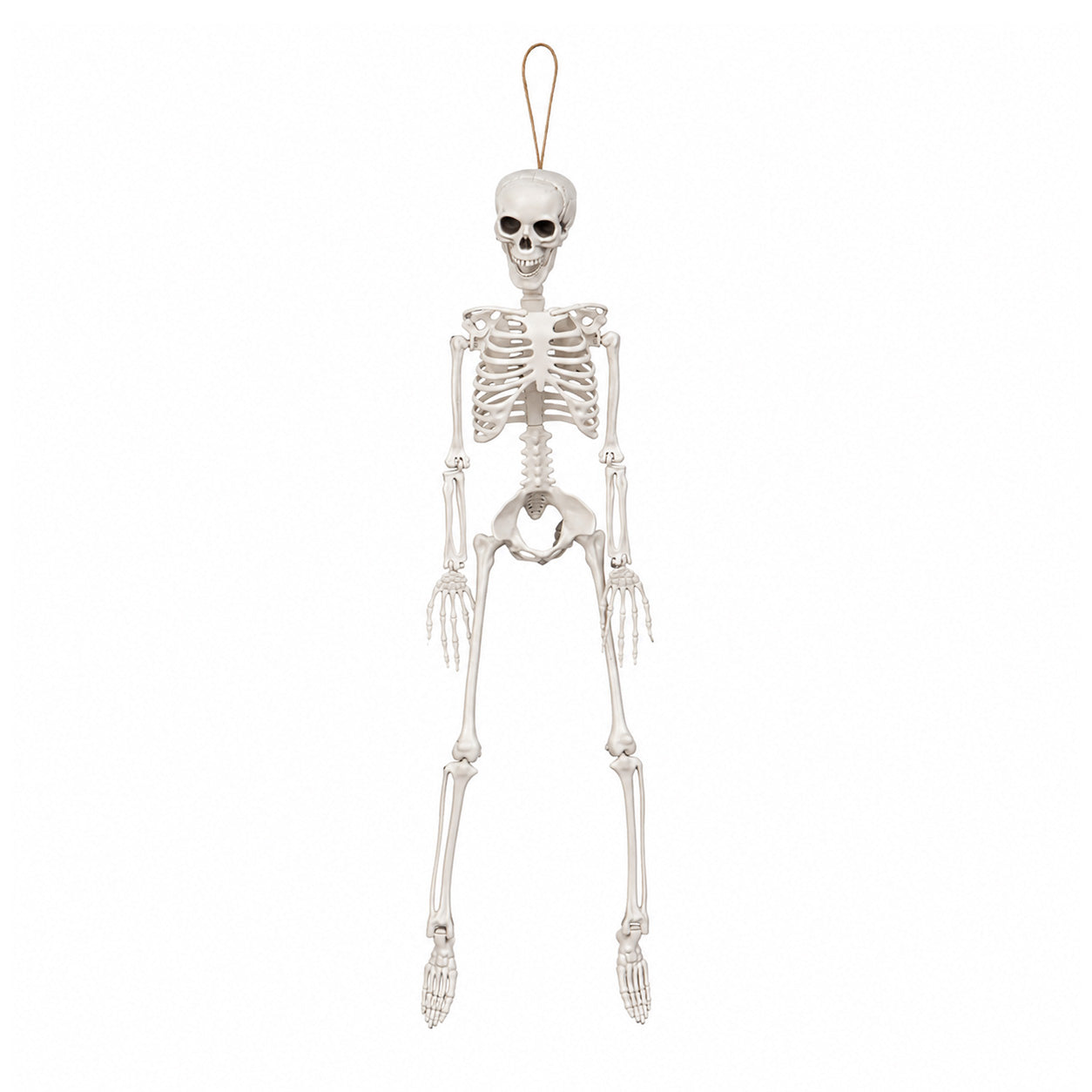 3ft (90cm) Posable Full Body Halloween Skeleton Decoration with Movable Joints