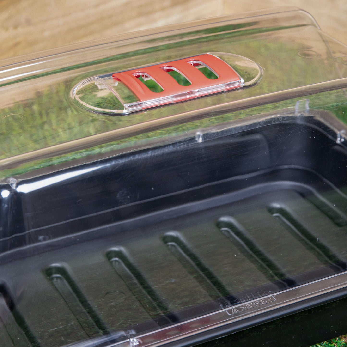 6 x 38cm Unheated Seed Starter Tray Grostart Midi Propagator Indoor Seedling Planter