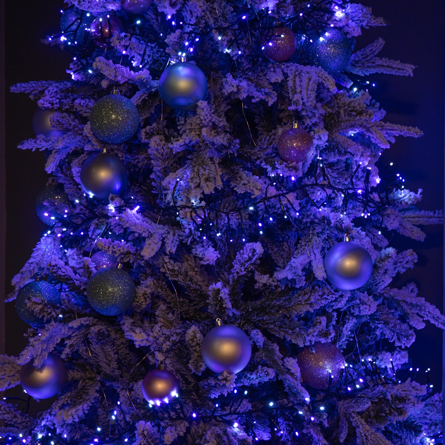 6.2m 480 LED Christmas Cluster Multi-Action String Lights with Timer in Blue, Purple & White
