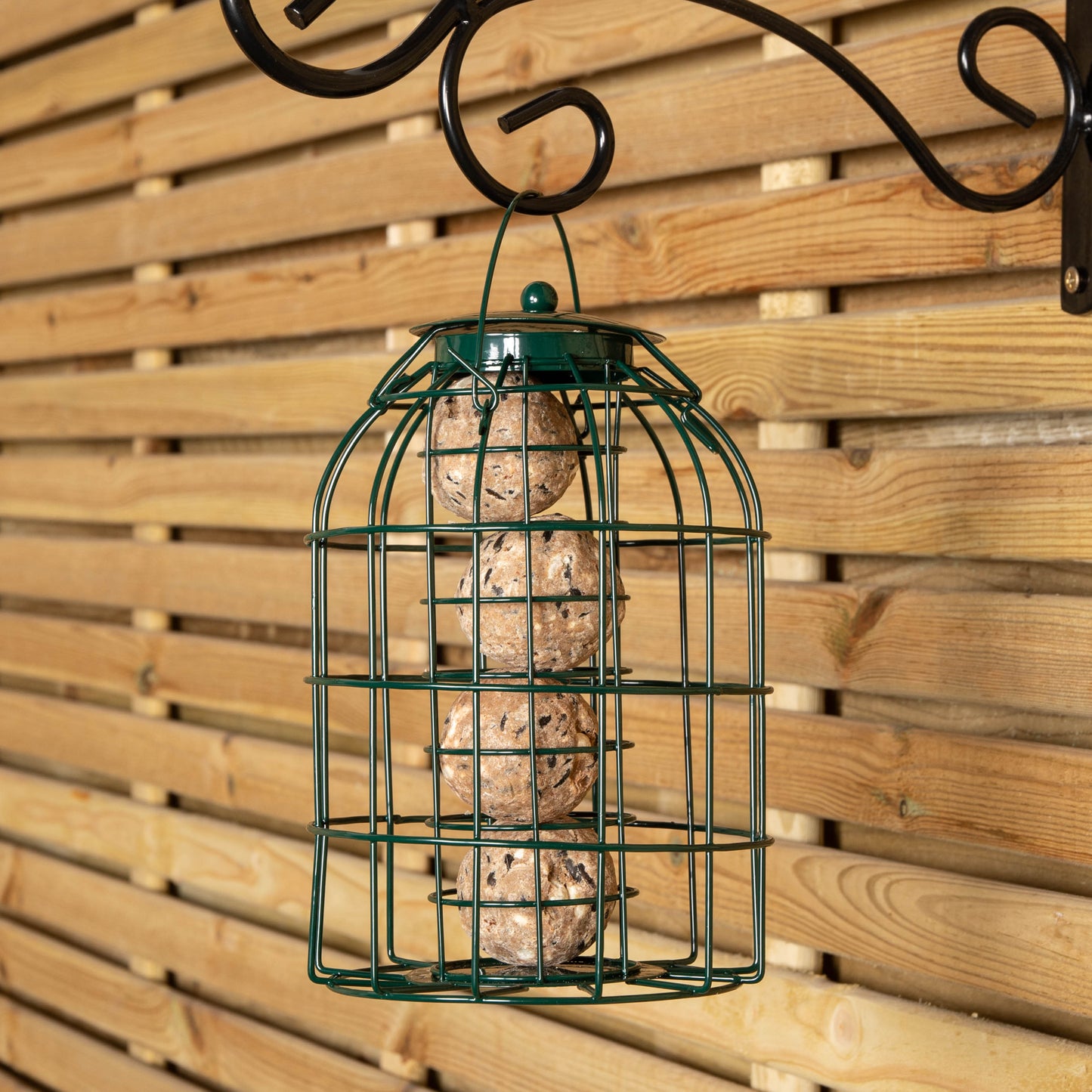 Pack of 2 Wild Bird Fat Ball Feeder with Squirrel Guard