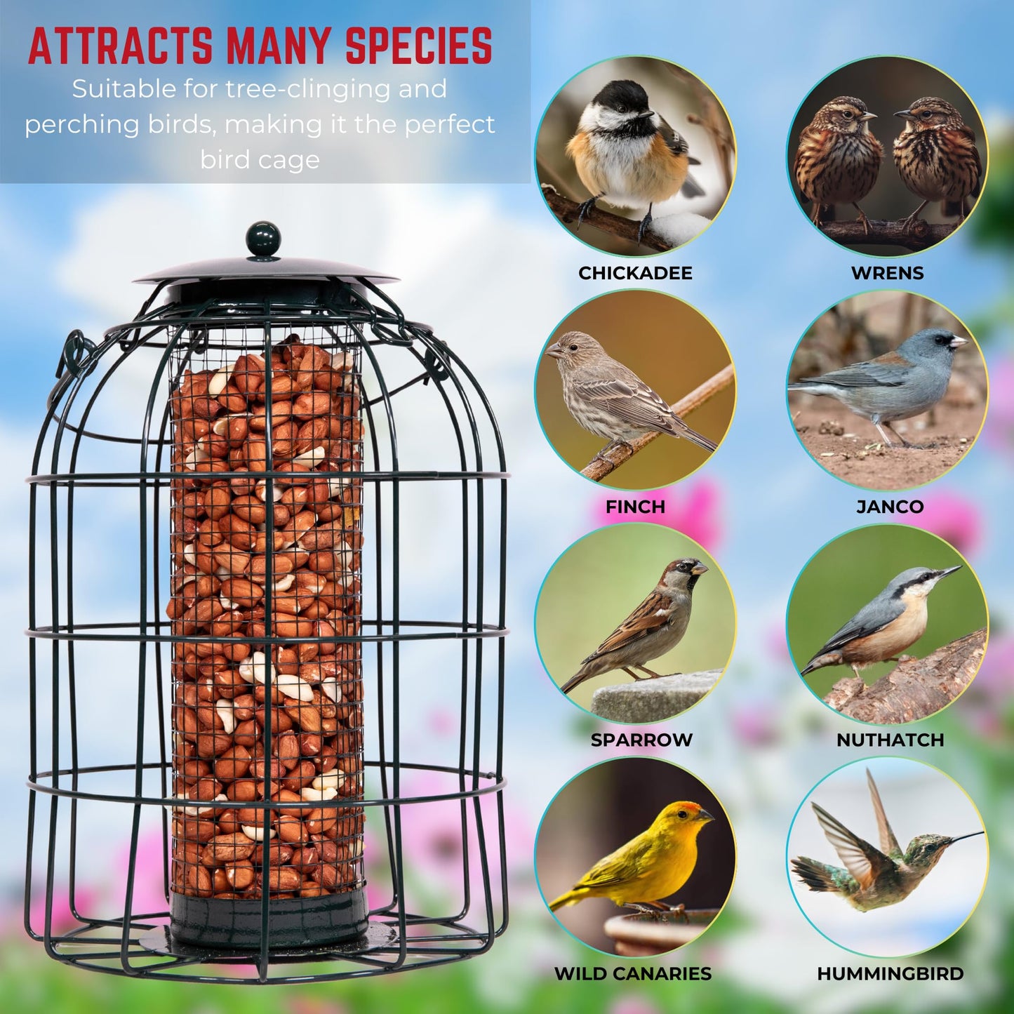 Pack of 3 Natures Market Wild Bird Hanging Nut Seed & Fat Ball Feeder with Squirrel Guard