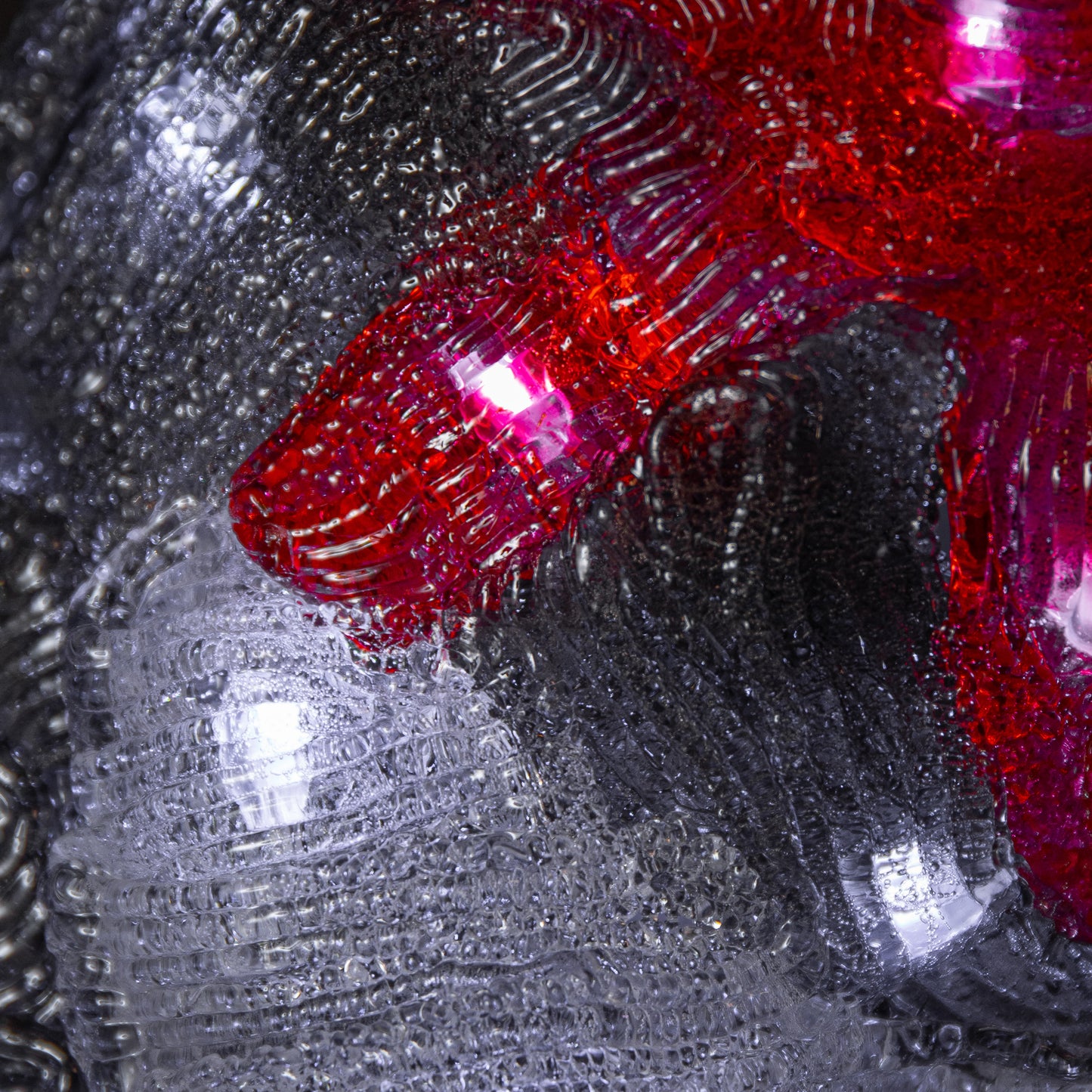 28cm Light up Acrylic Christmas Husky with Red Scarf Decoration and White LEDs