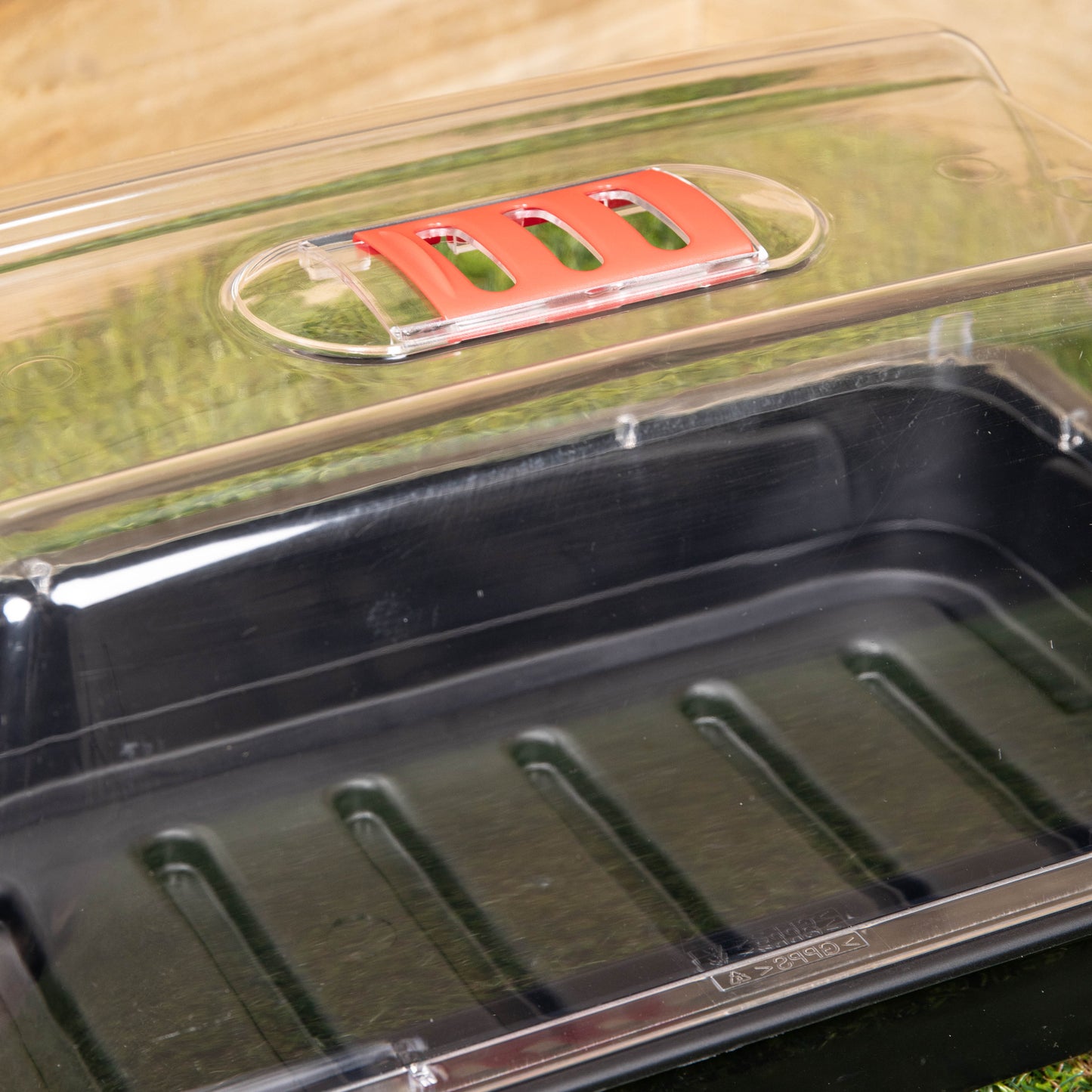 6 x 38cm Unheated Seed Starter Tray Grostart Midi Propagator Indoor Seedling Planter