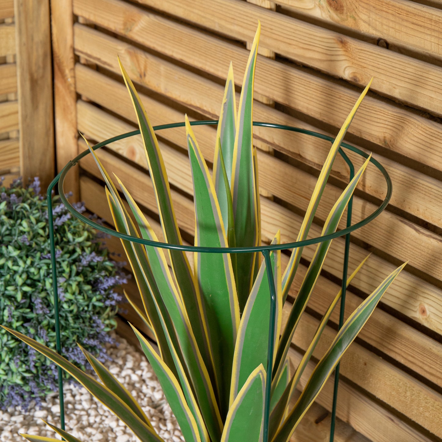 Tom Chambers Urban Metal Herbaceous Garden Plant Support Ring Medium 30cm x 50cm