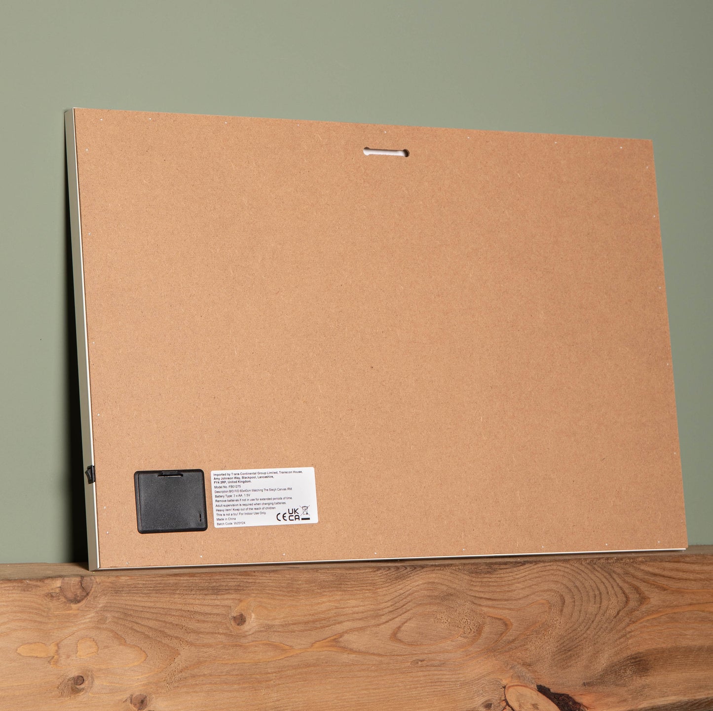 40 x 60cm Battery Operated Light up Christmas Canvas with Cats and Dogs Scene