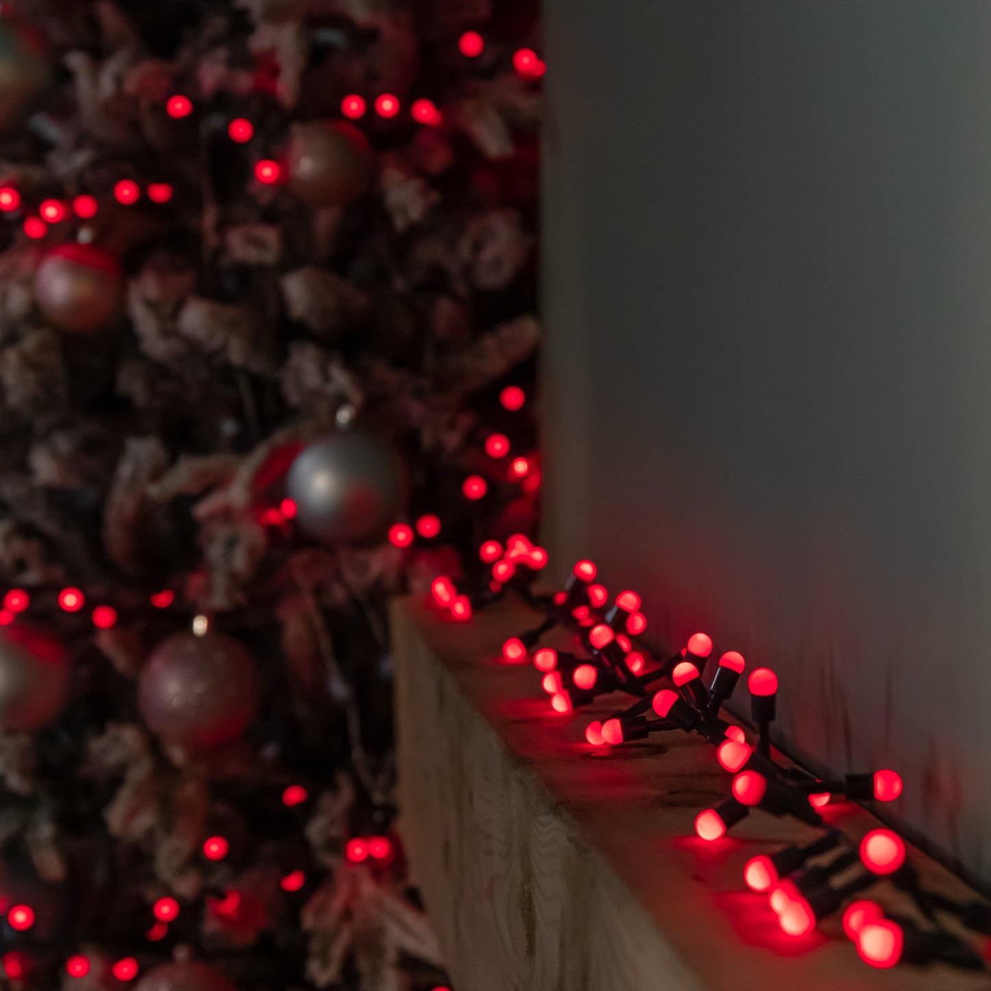 1000 Christmas Berry String Lights in Red with Multi-Action LEDs
