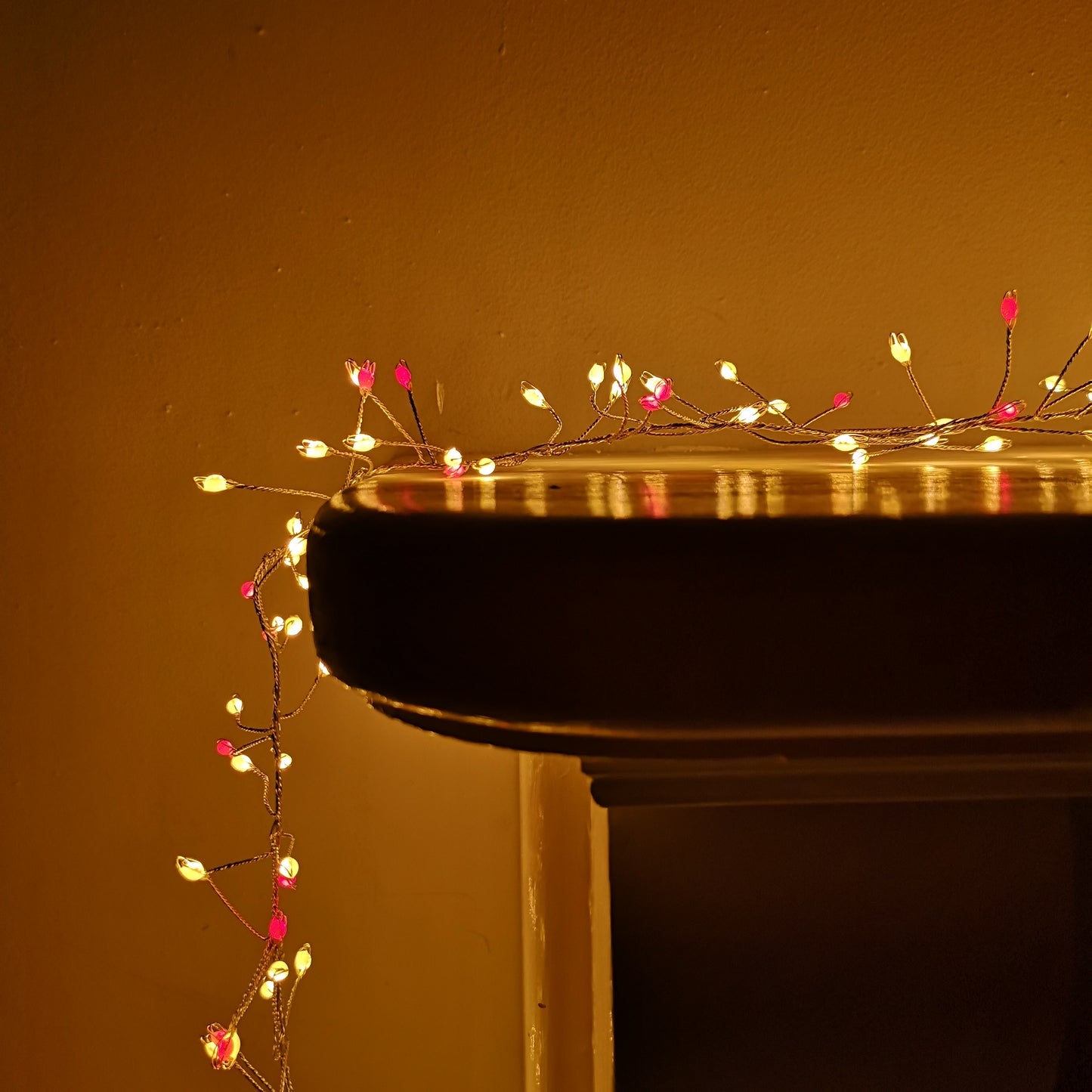 800 LED 5.5m Premier Christmas Indoor Outdoor Wire Cluster Lights with Timer in Rainbow