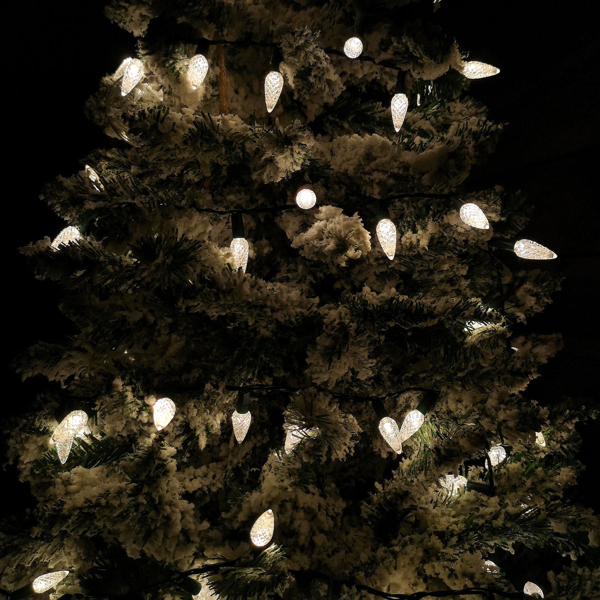 15m 300 LED Multi-action Pine Cone Christmas Lights in Warm White