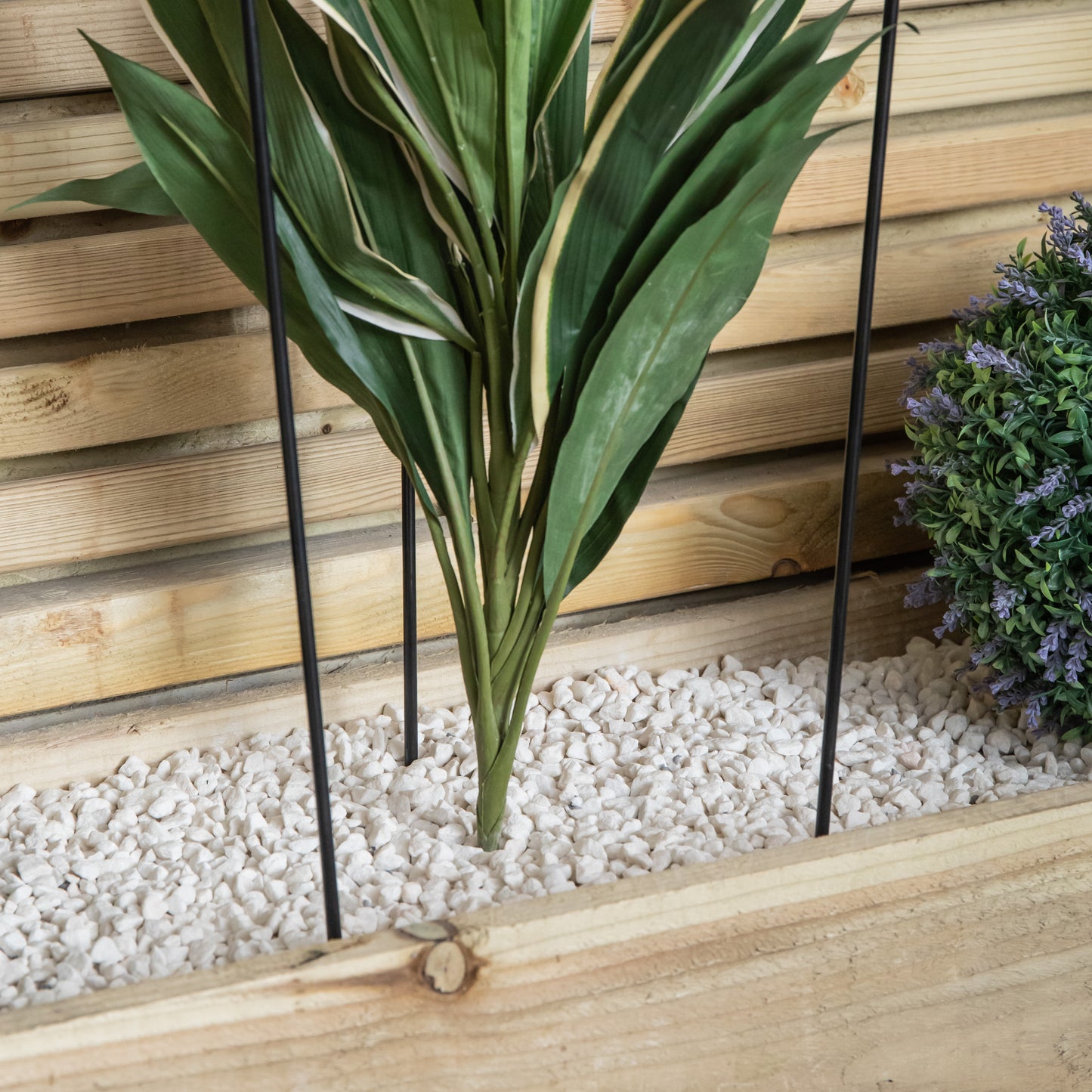 Small 60cm x 35cm Heavy Duty Black Steel Herbaceous Garden Plant Support Ring