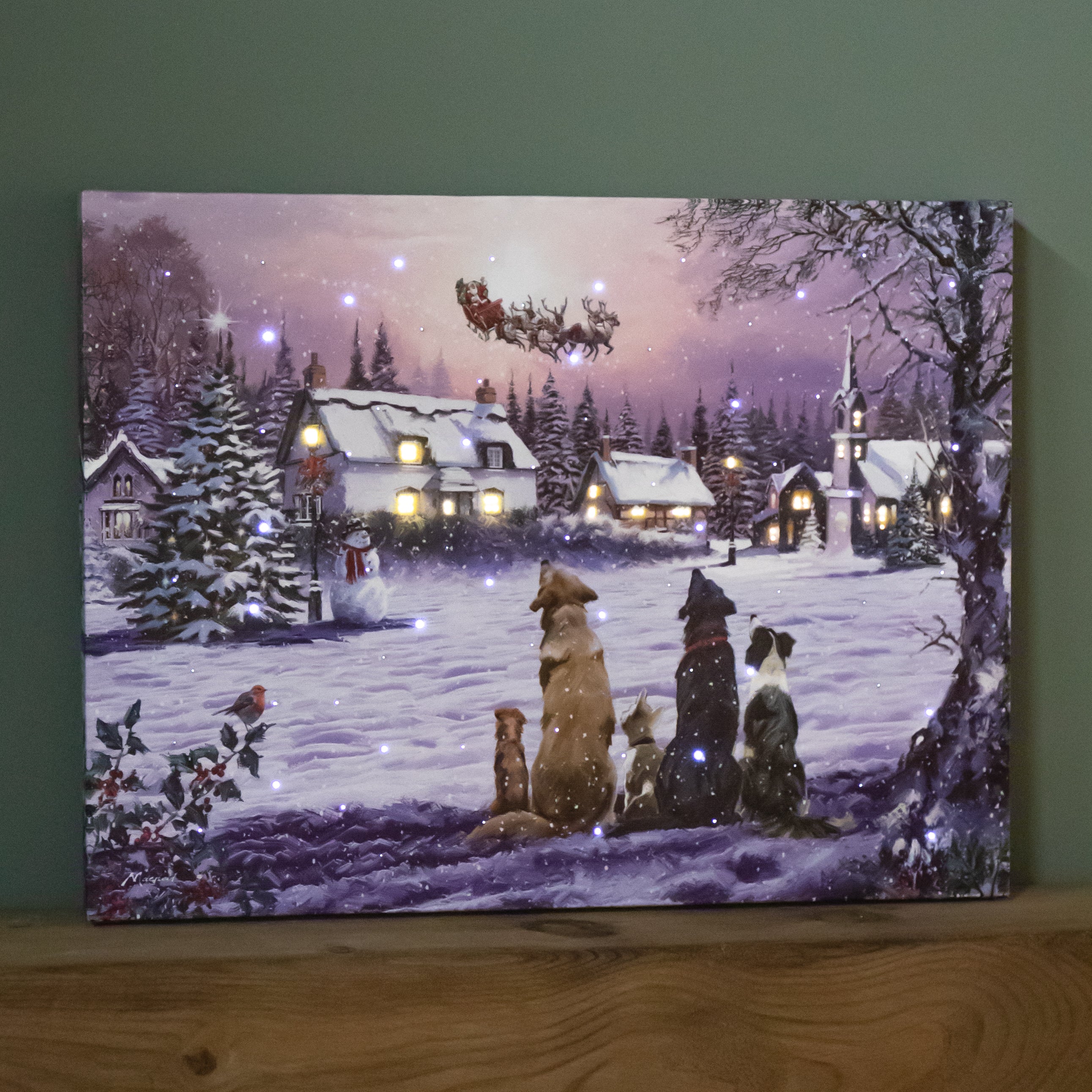 40 x 30cm Battery Operated Light up Fibre Optic Dogs Watching