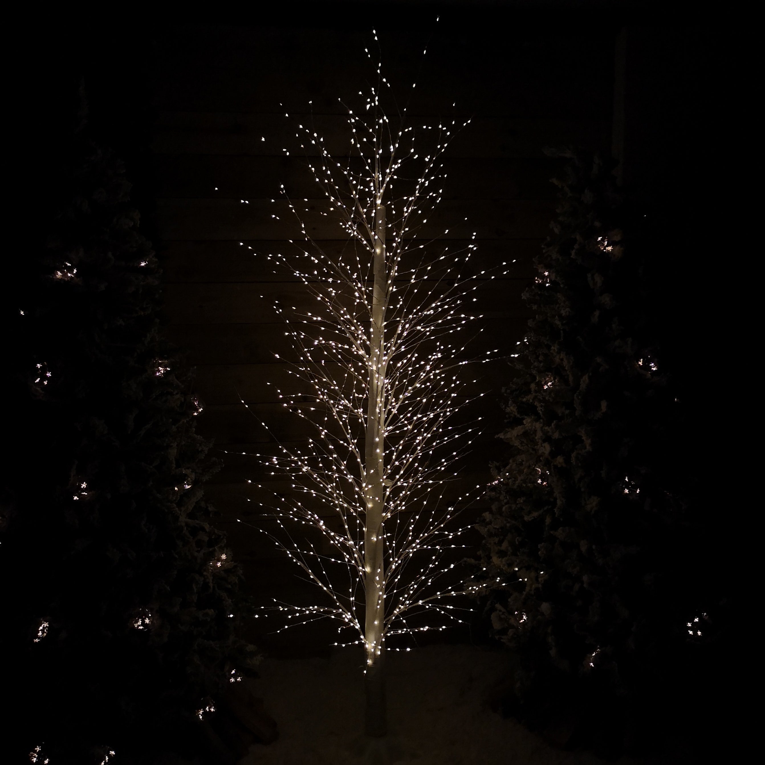 7ft (2.1m) White Modelling Micro Dot Tree with 1,700 Twinkling LEDs in Warm white 
