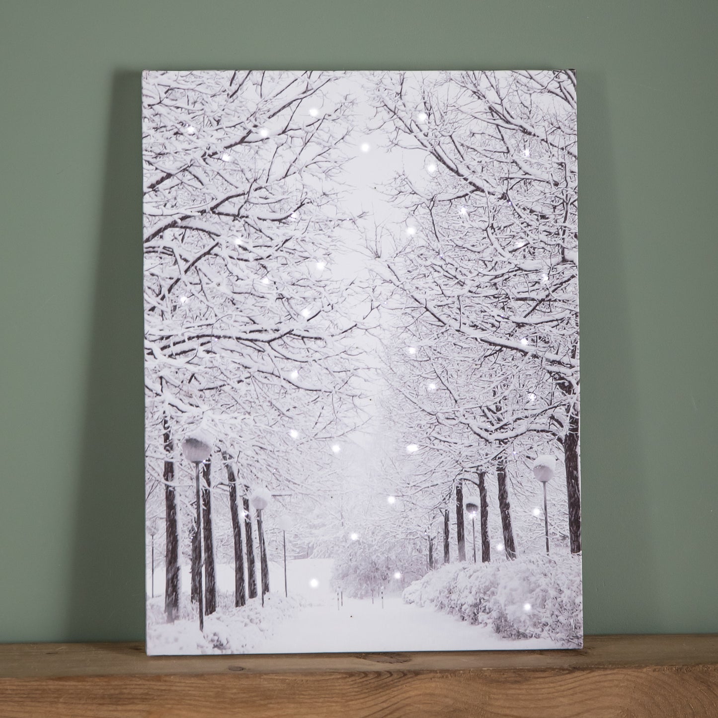 40 x 30cm Battery Operated Light up Fibre Optic Winter Avenue Christmas Wall Canvas