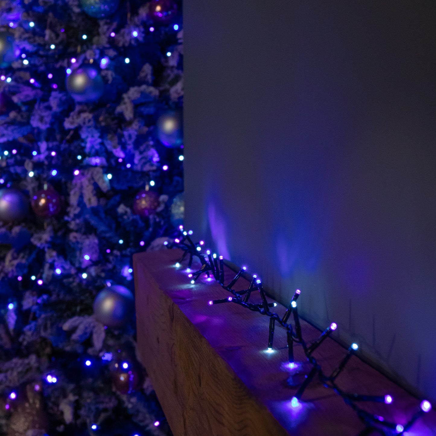 75m 3000 LED TreeBrights Christmas String Lights with Timer in Blue, Purple & White