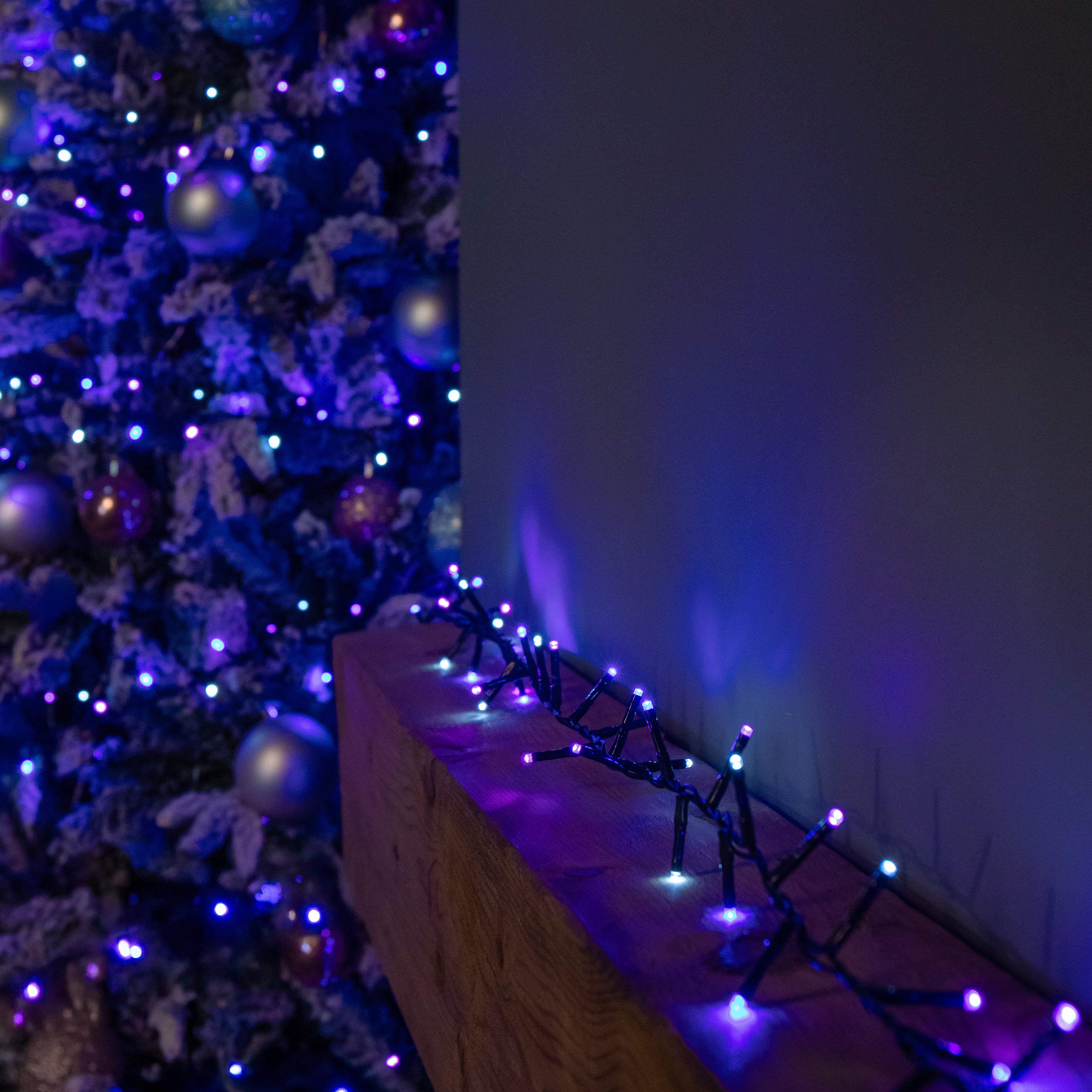 75m 3000 LED TreeBrights Christmas String Lights with Timer in Blue, Purple & White