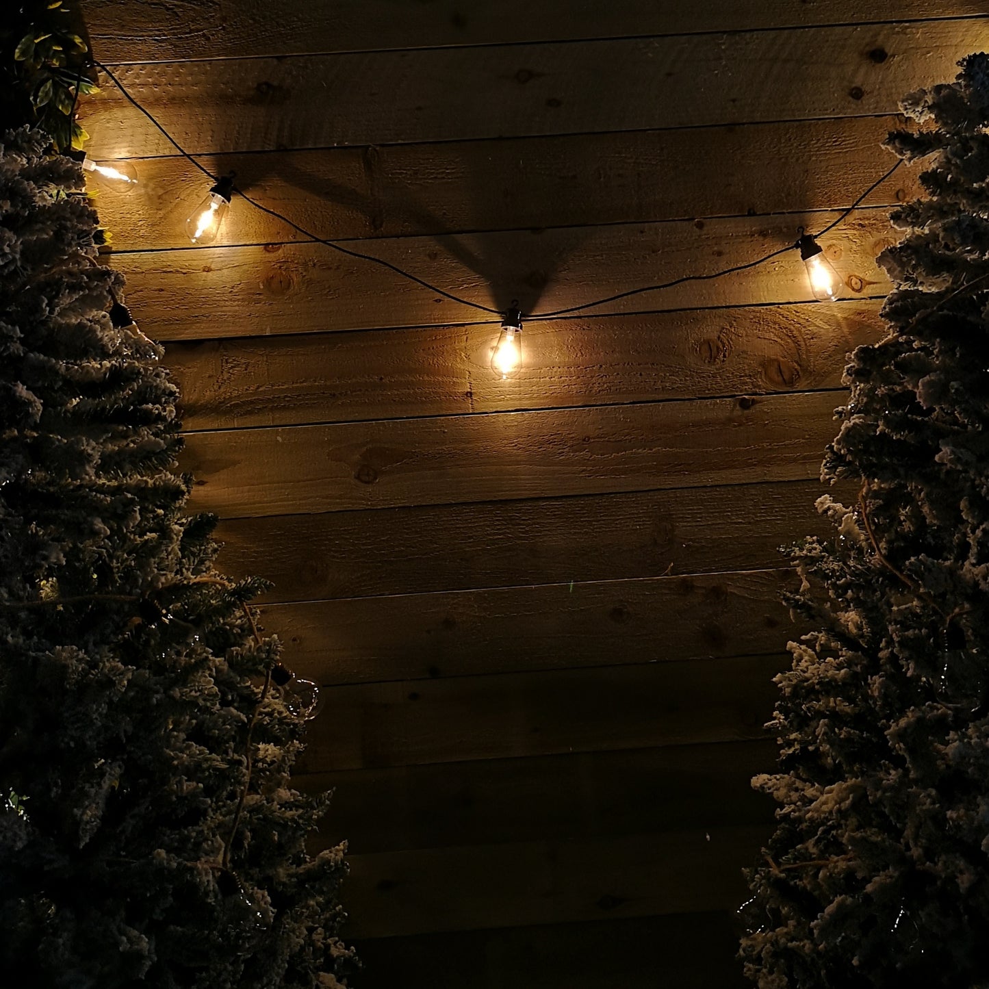 4.5m 10 Warm White LED Connectable Festoon Lights Christmas Decorations