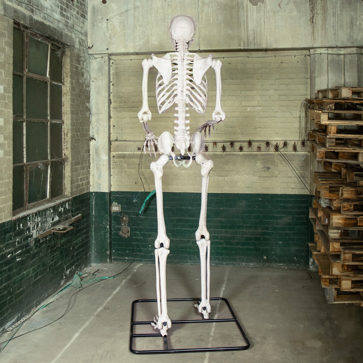 10ft (3m) Posable Full Body Skeleton Halloween Decoration with Movable Arms and LED Eyes