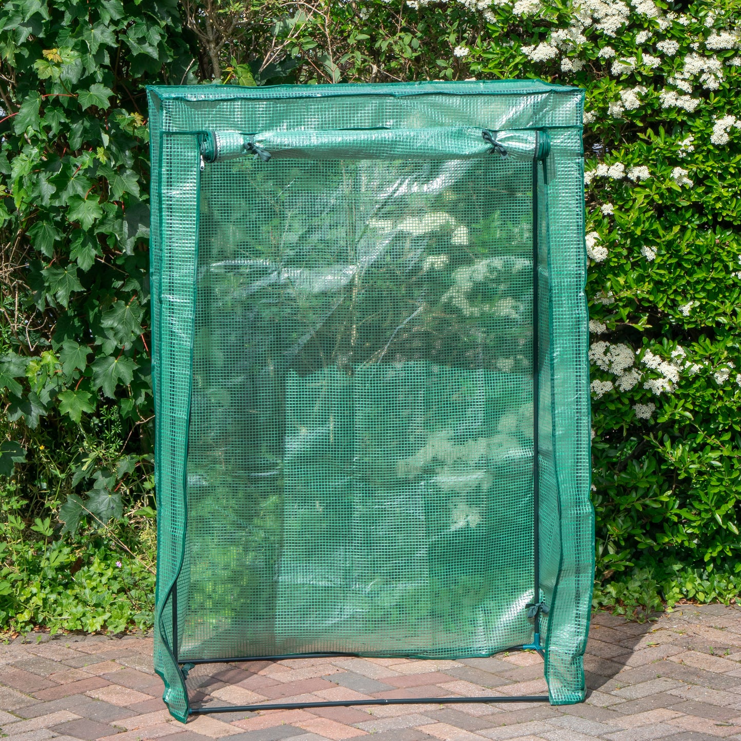 1.5m x 1m Outdoor Tomato Greenhouse with Steel Frame and Protective PE Cover