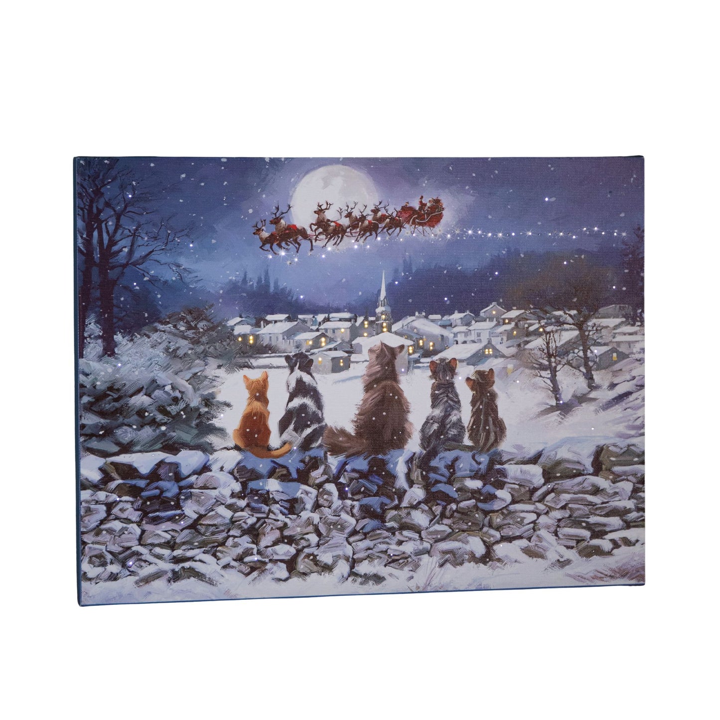 40 x 30cm Touch Operated Fibre Optic Christmas Wall Art Canvas with Cat Scene