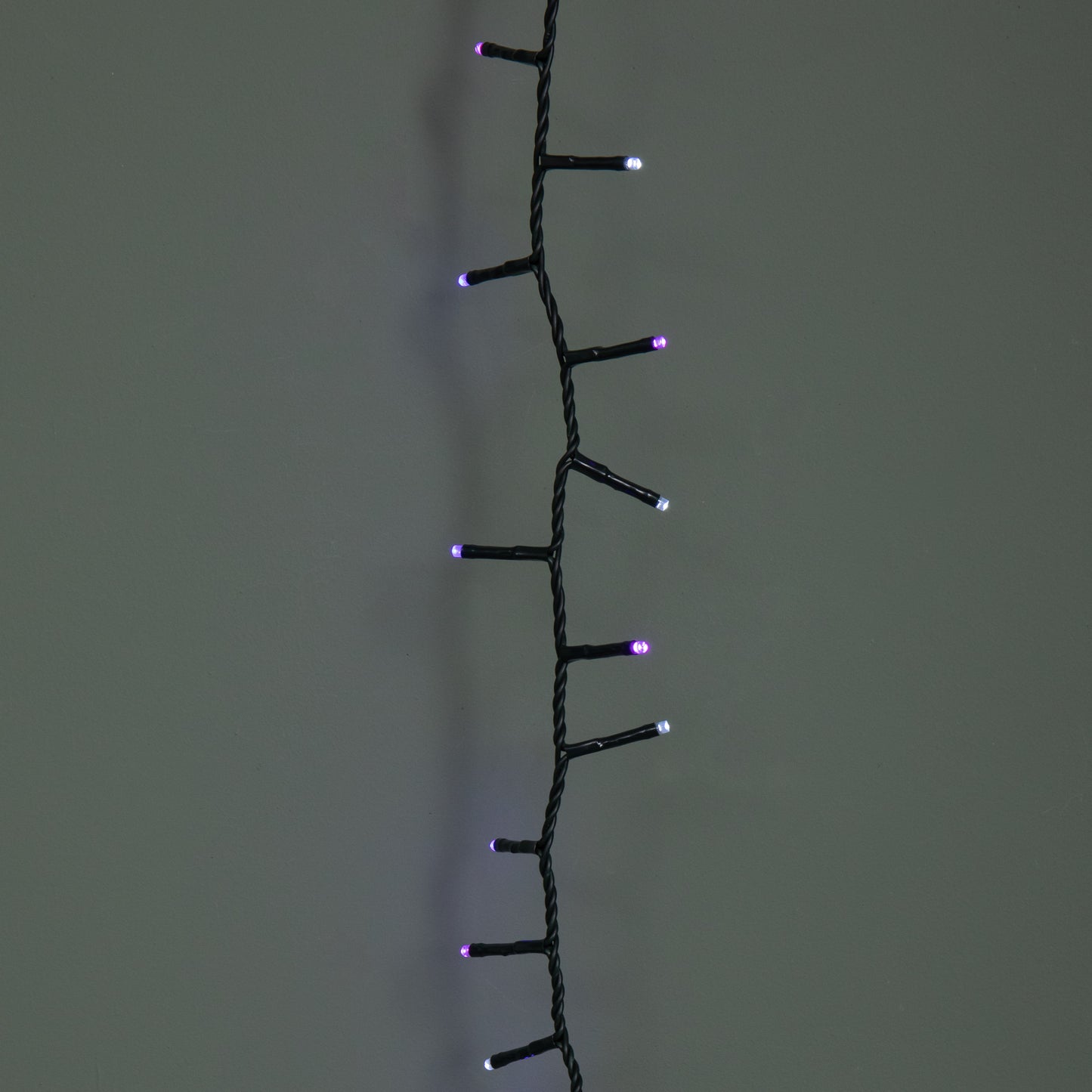 18.7m 750 LED TreeBrights Christmas String Lights with Timer in Blue, White & Purple