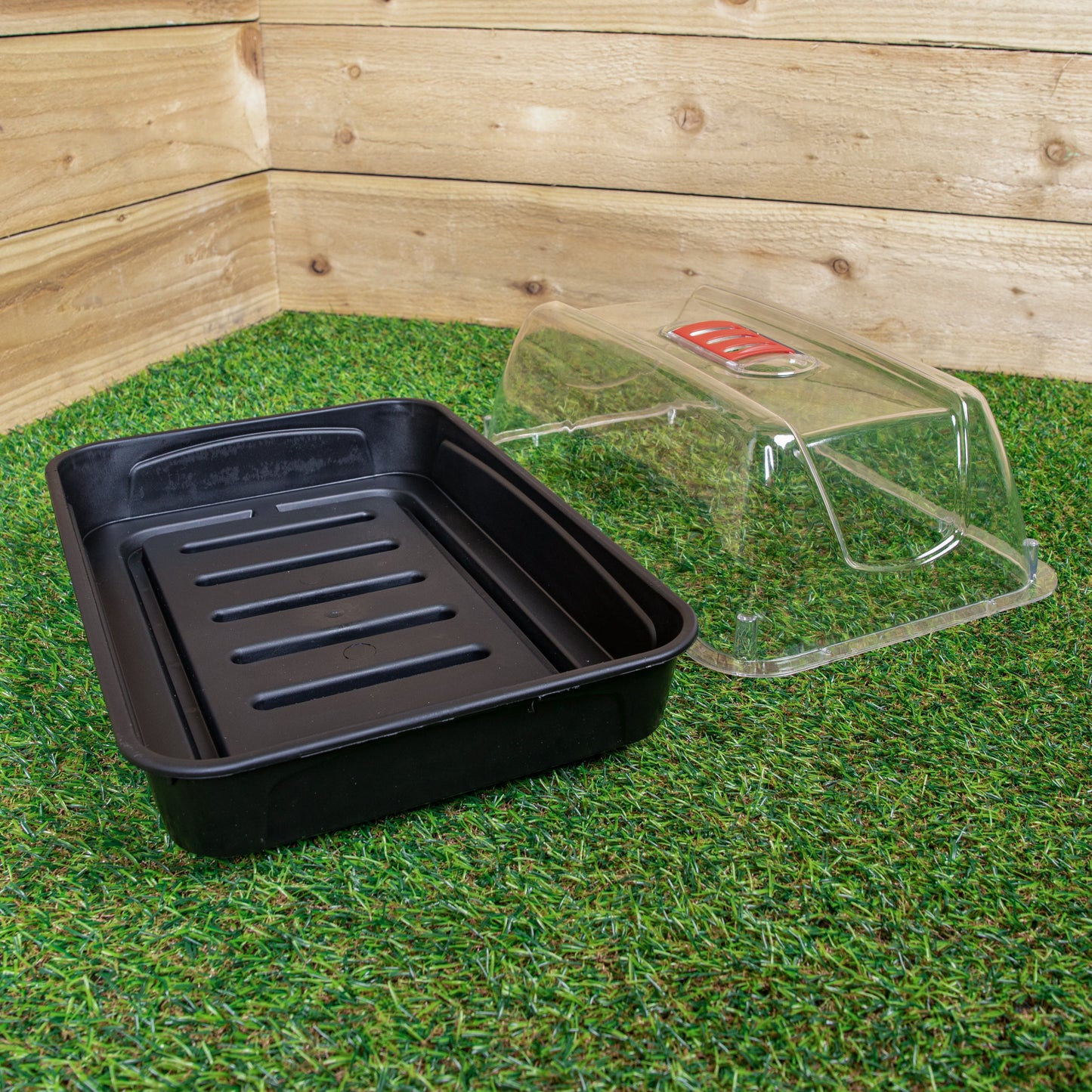6 x 38cm Unheated Seed Starter Tray Grostart Midi Propagator Indoor Seedling Planter