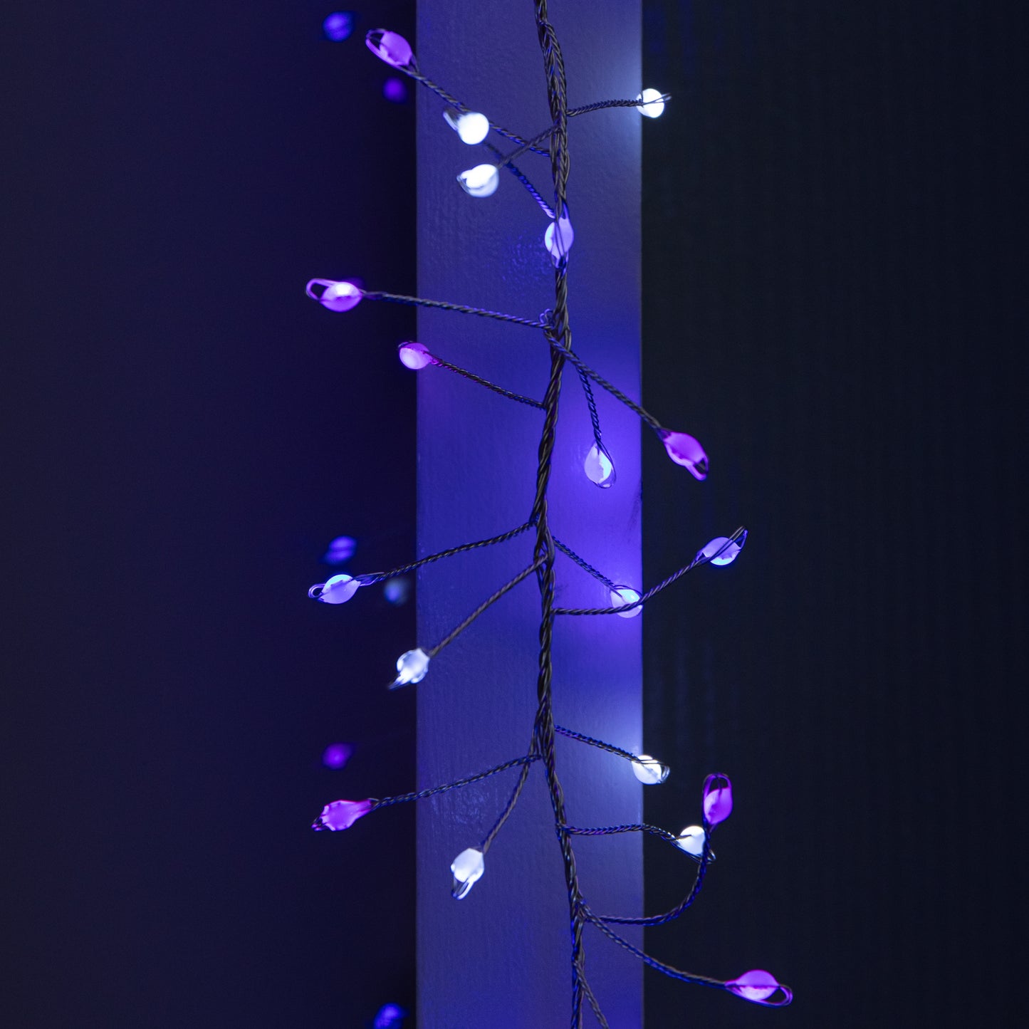 5.5m 800 LED UltraBrights Christmas Door Cluster Lights with Timer in Blue, Purple & White on Silver Wire