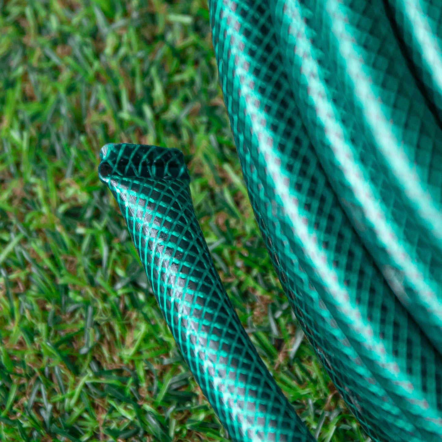 50m Reinforced Garden Hose Pipe in Green