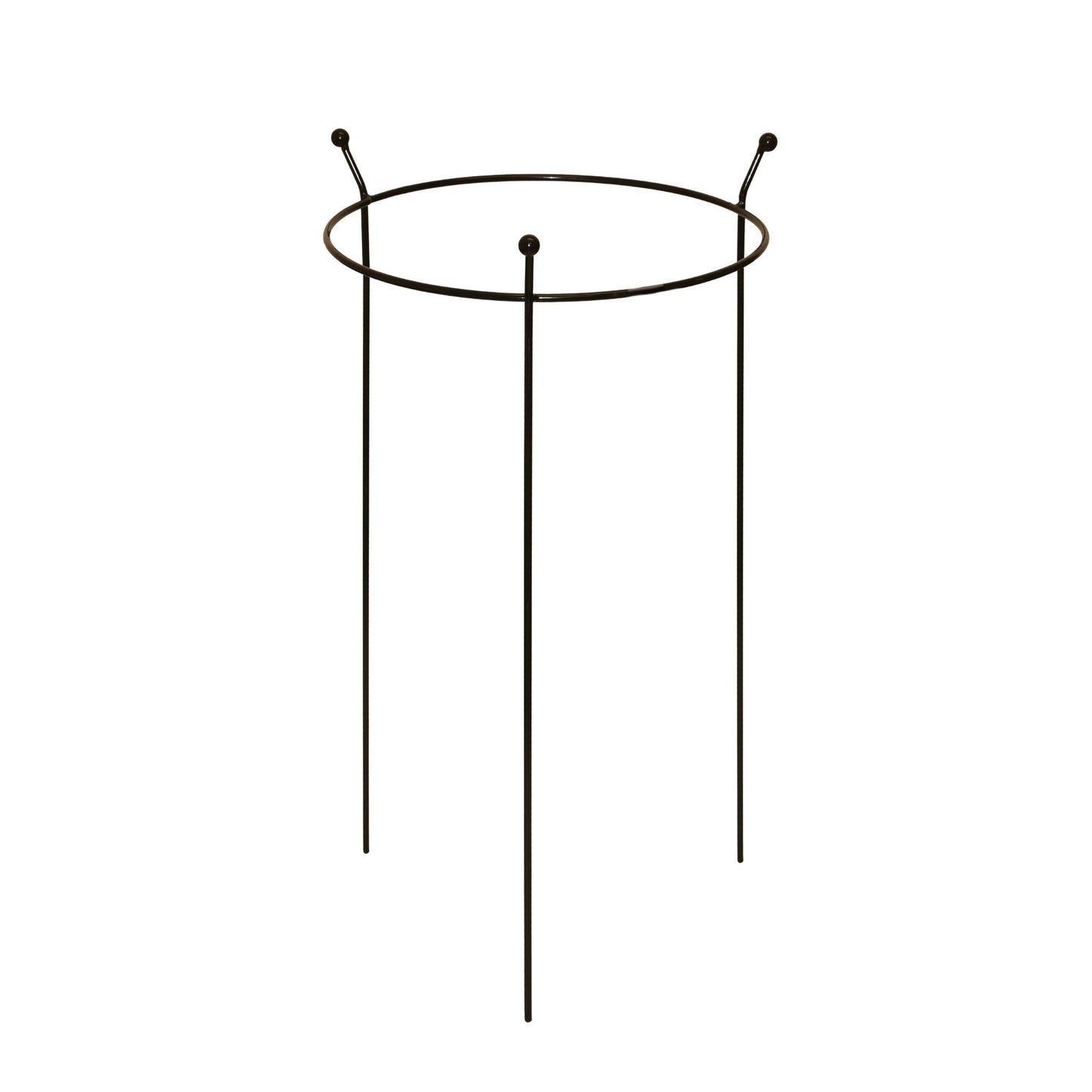 6 Pack of Small 60cm x 35cm Heavy Duty Black Steel Herbaceous Garden Plant Support Ring