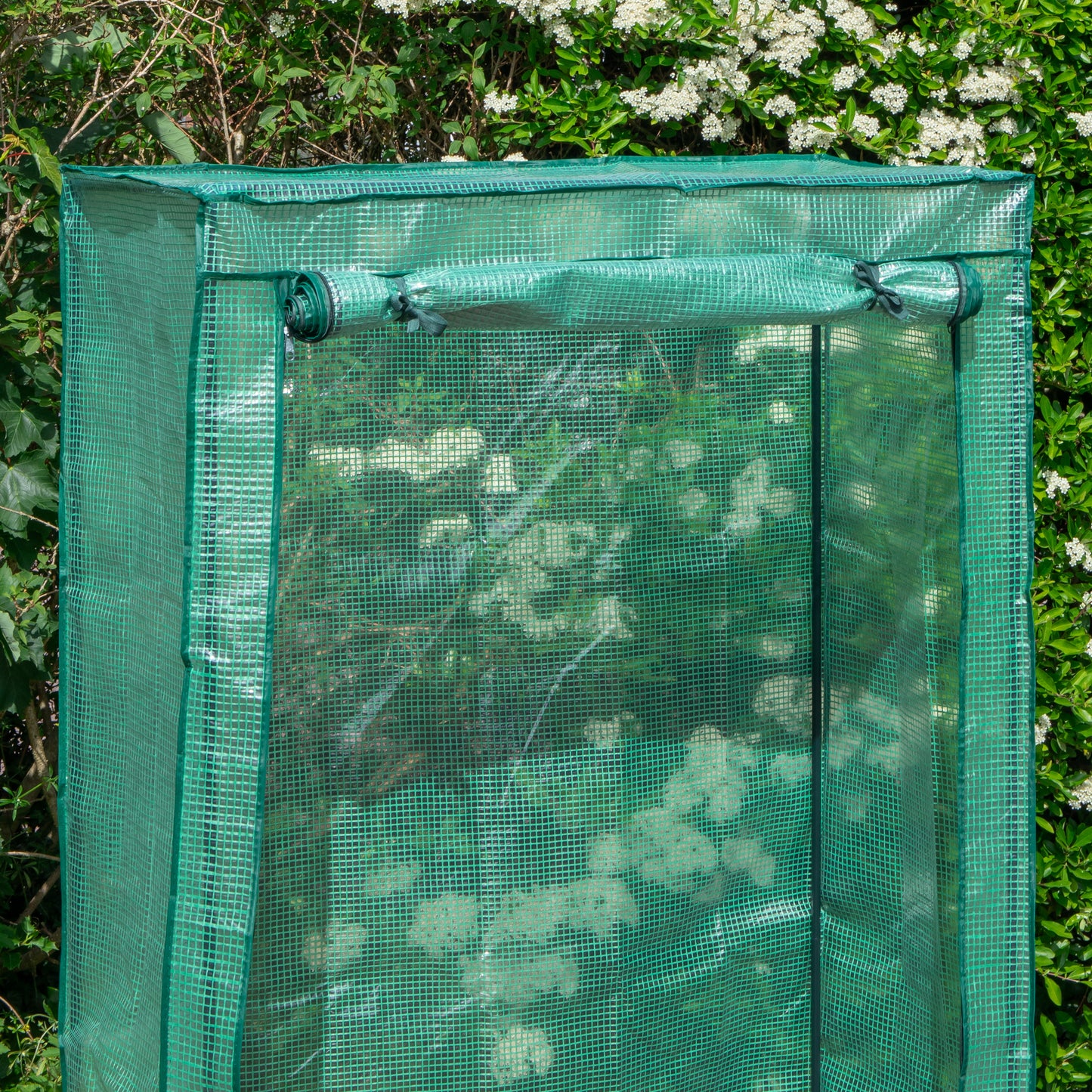 1.5m x 1m Outdoor Tomato Greenhouse with Steel Frame and Protective PE Cover