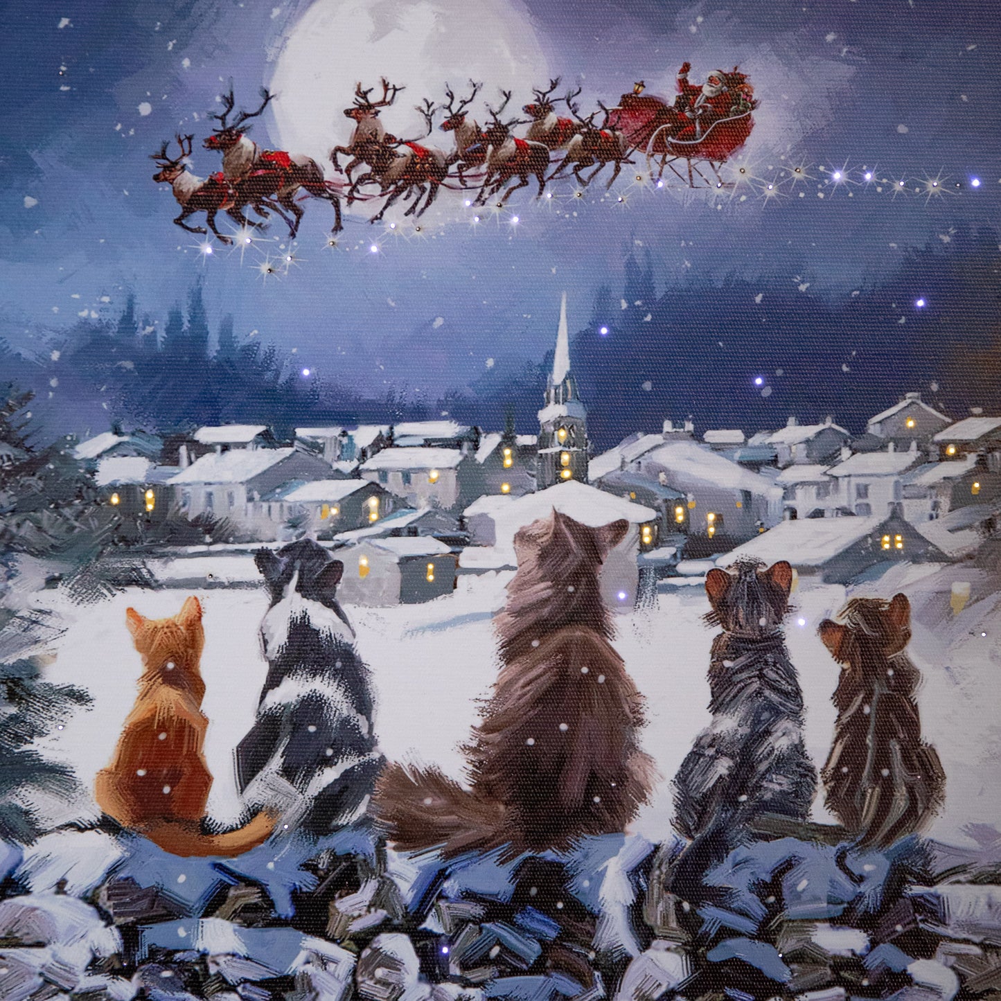 40 x 30cm Touch Operated Fibre Optic Christmas Wall Art Canvas with Cat Scene