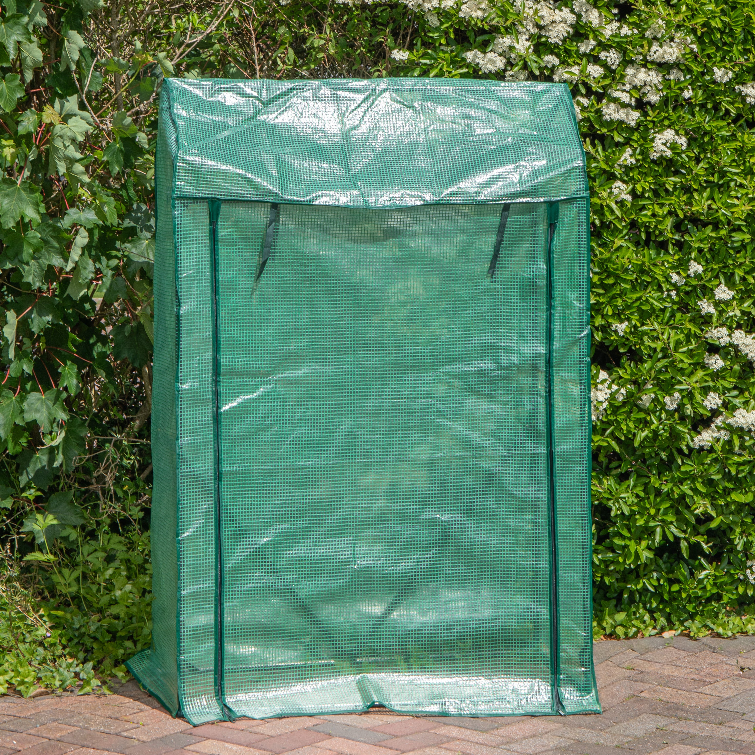 1.55m x 1m Outdoor Greenhouse for Plants with Steel Frame and Protective PE Cover
