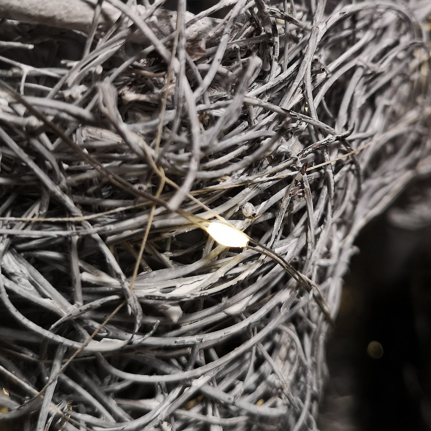 66cm Battery Operated Rattan Woven Cupid Reindeer with Warm White LEDs