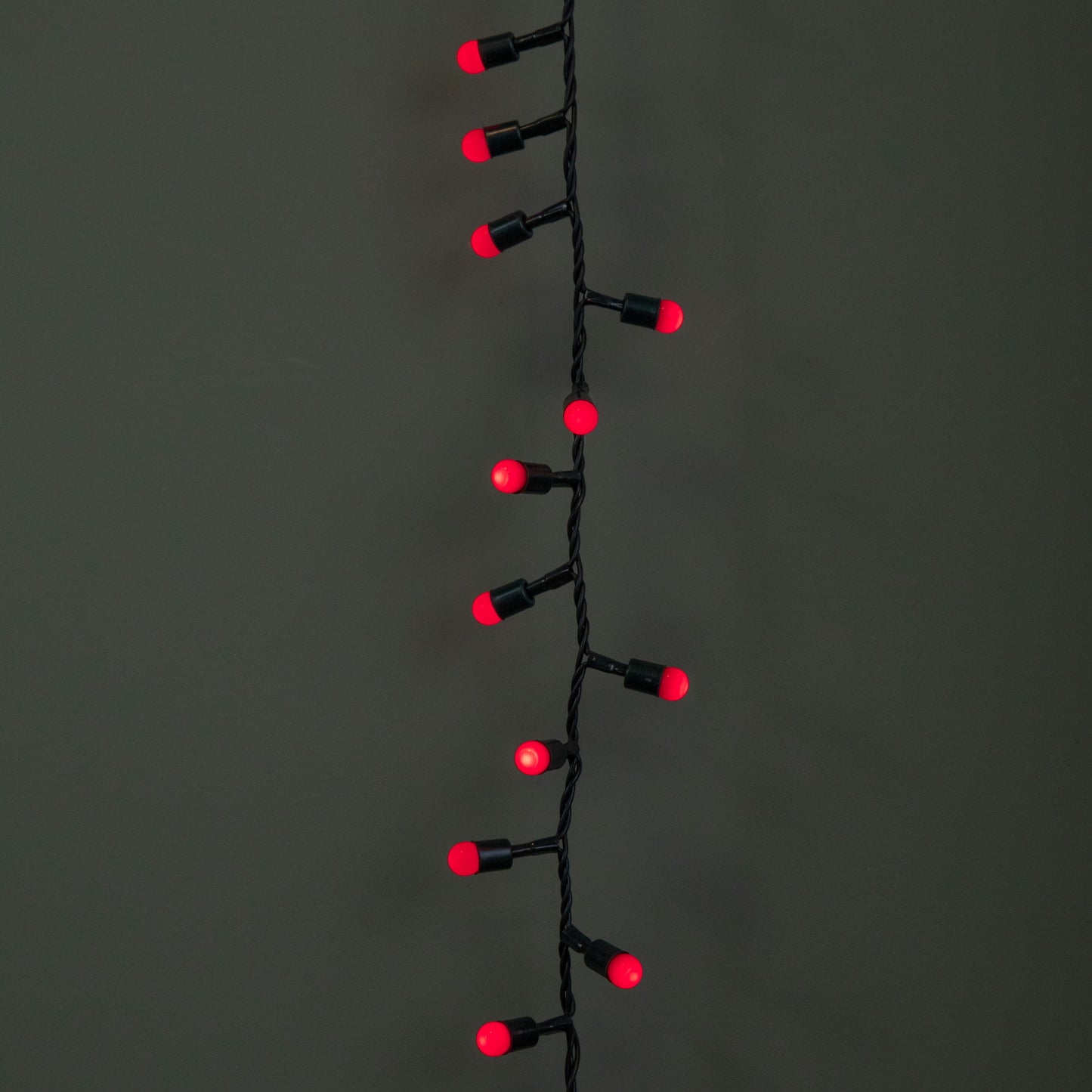 1000 Christmas Berry String Lights in Red with Multi-Action LEDs