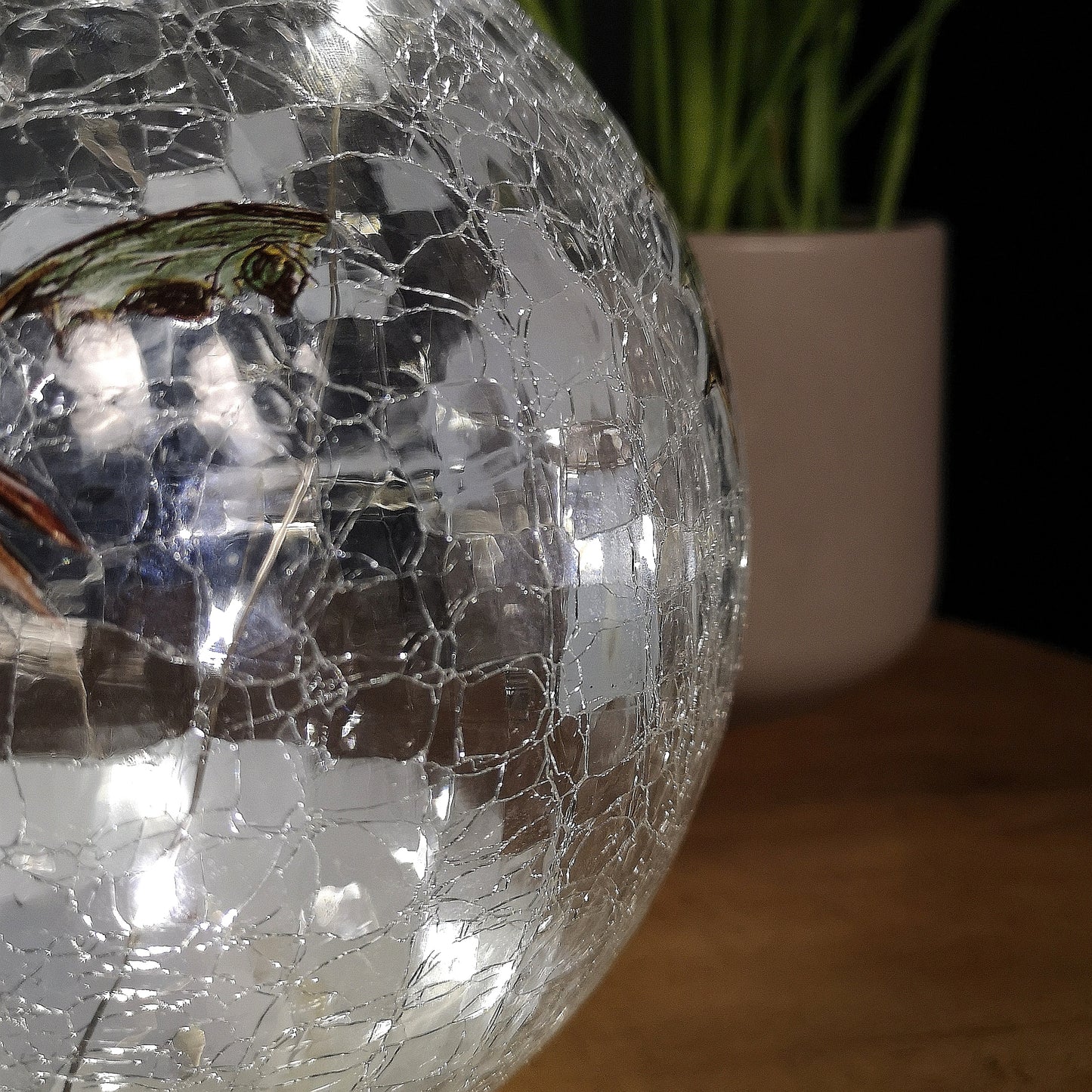 20cm Festive Christmas Crackle Effect Glass Robin LED Light Ball