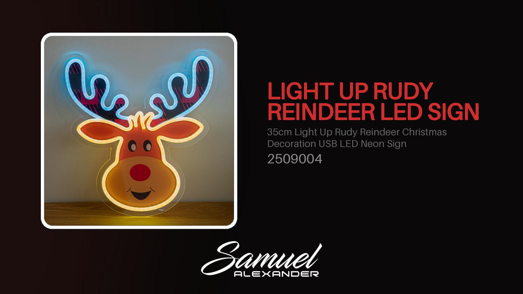 35cm Light Up Rudy Reindeer Christmas Decoration USB LED Neon Sign