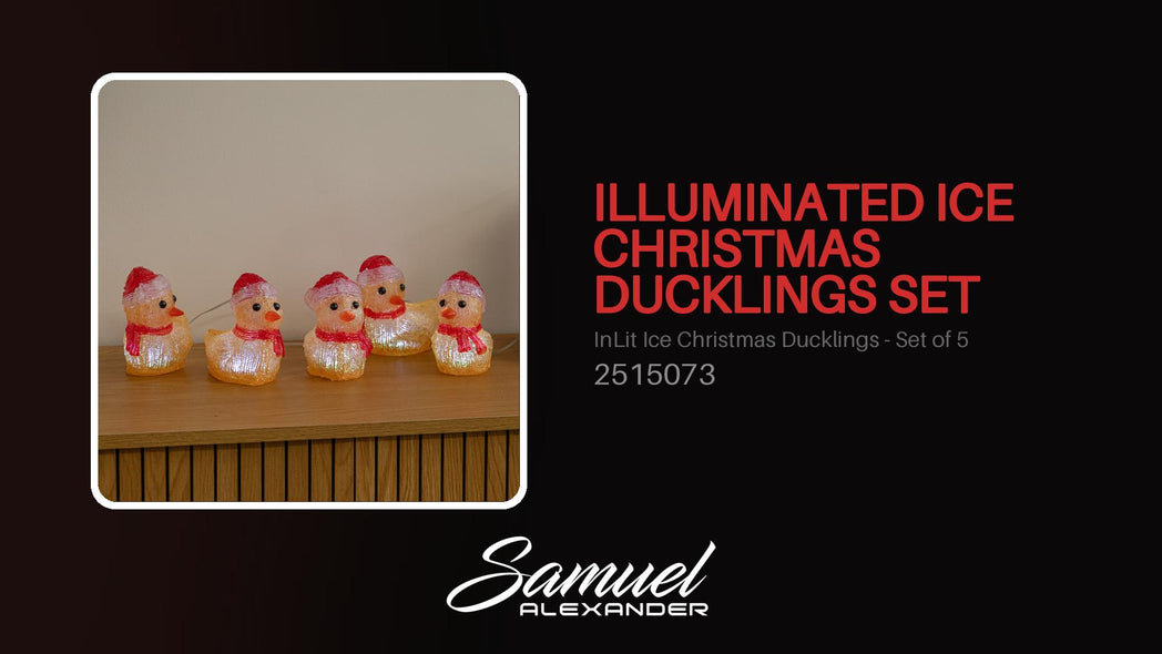 Set of 5 Light Up Acrylic Christmas Ducklings with Cool White LEDs