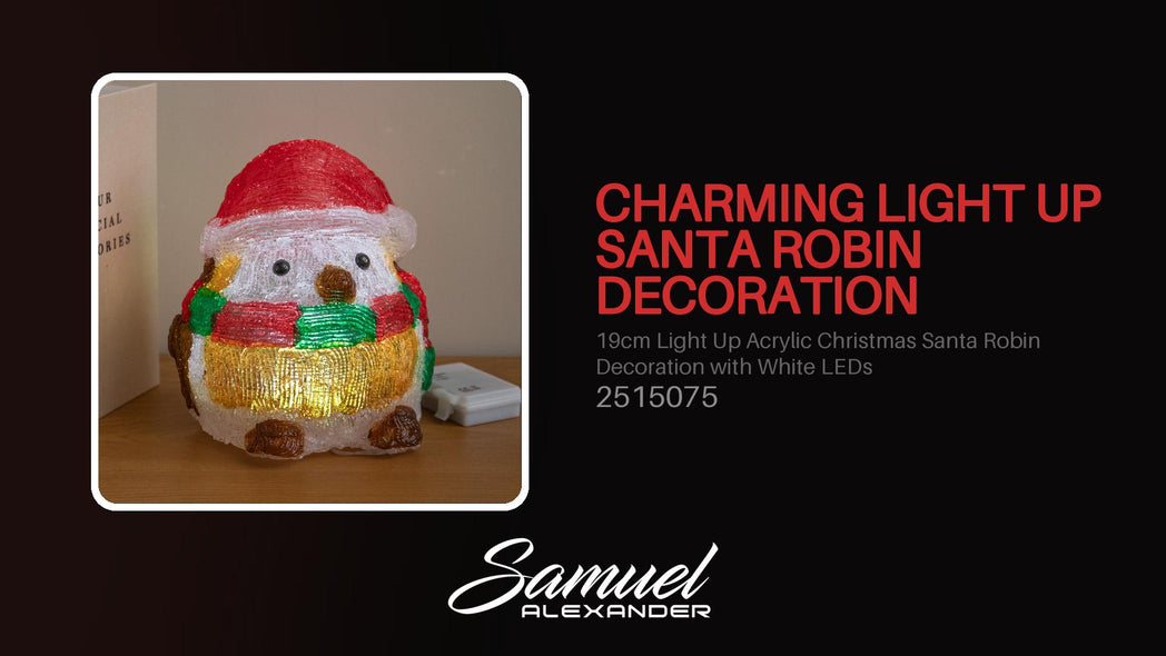 19cm Light Up Acrylic Christmas Santa Robin Decoration with White LEDs