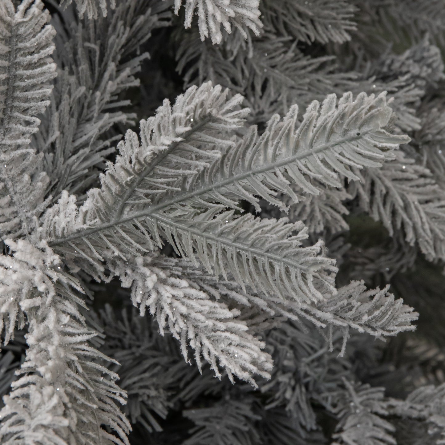 5ft (1.5m) Grey Frosted Grandis Fir Christmas Tree with Metal Stand