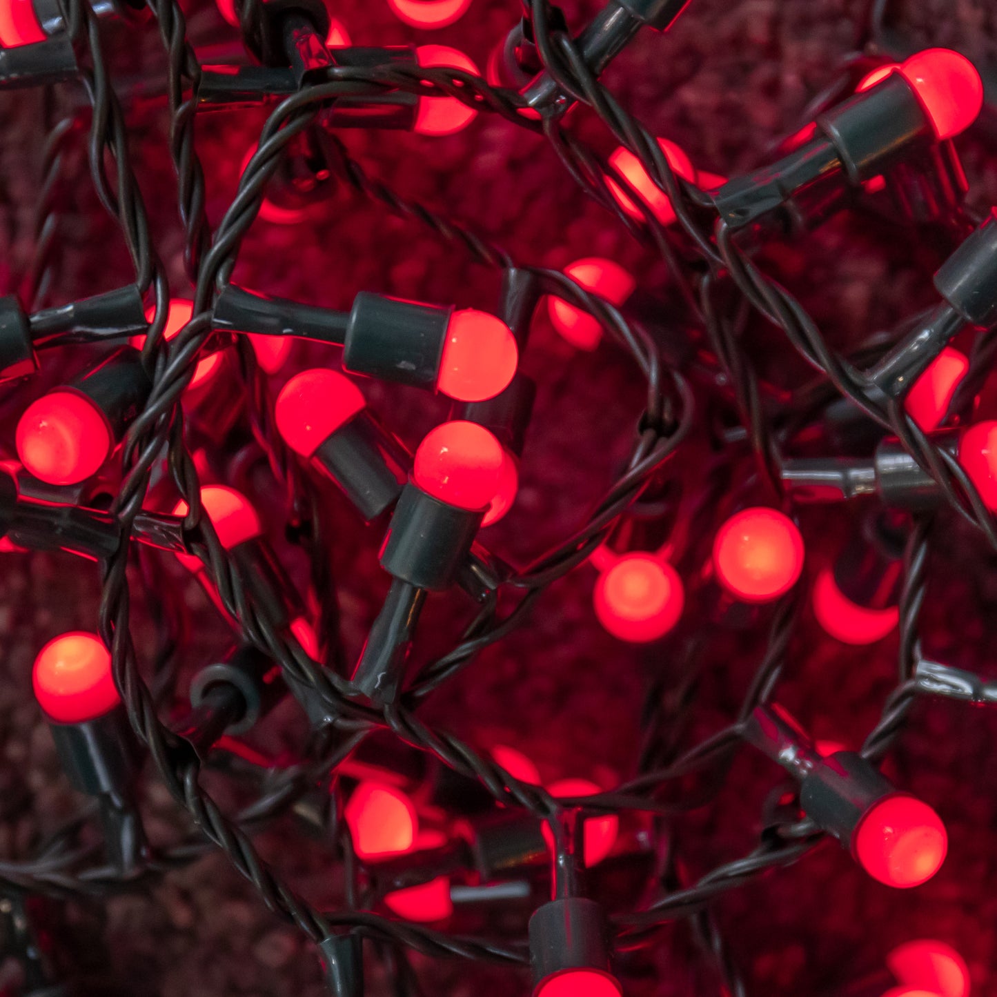 1000 Christmas Berry String Lights in Red with Multi-Action LEDs