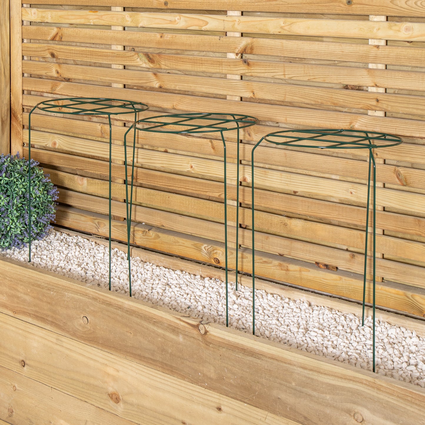 Pack of 3 Tom Chambers Urban Dark Green Metal Herbaceous Garden Plant Support Grow Through Medium 50cm x 30cm