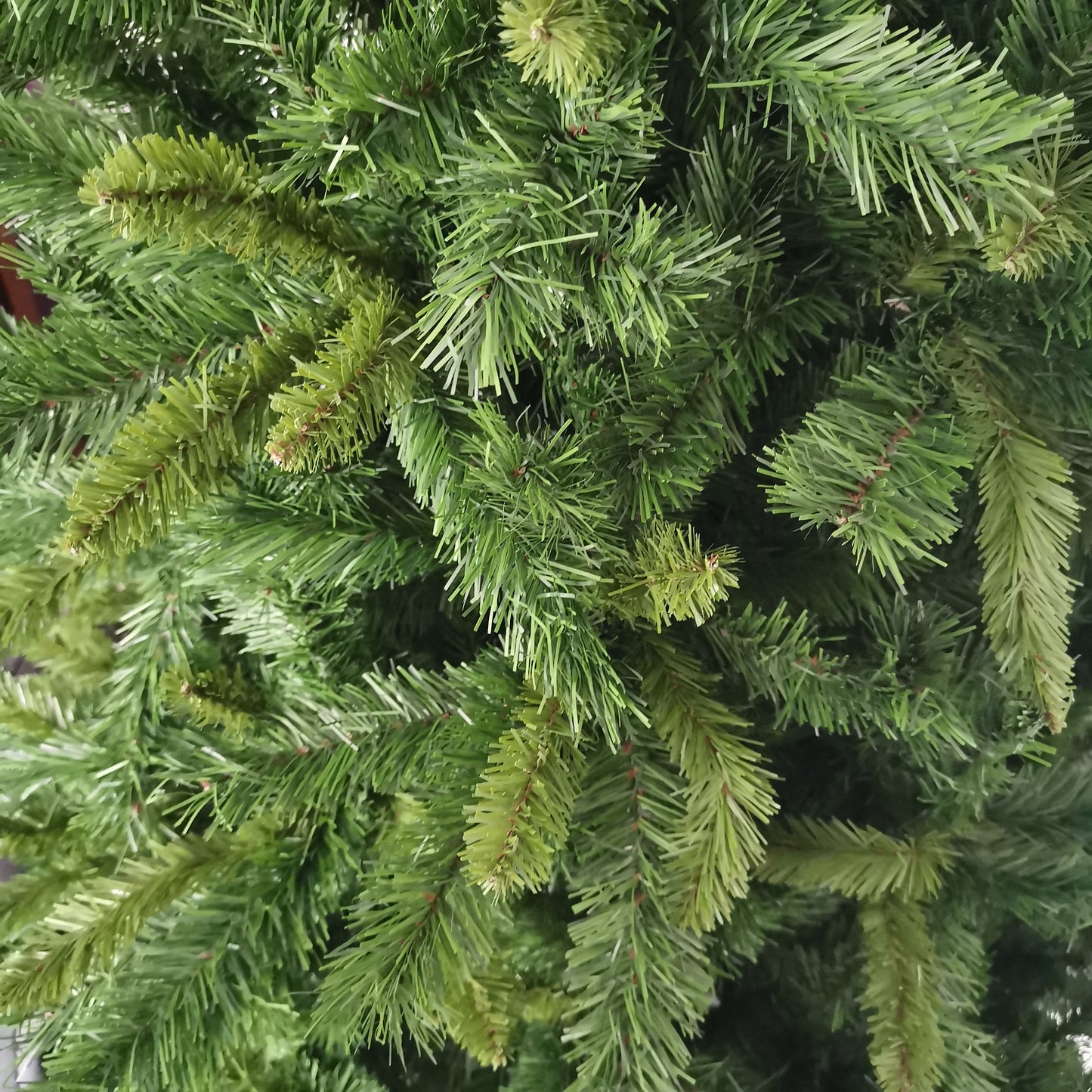 Factory Seconds: 8ft New Duchess Spruce Hinged 1312 Tips Green Christmas Tree