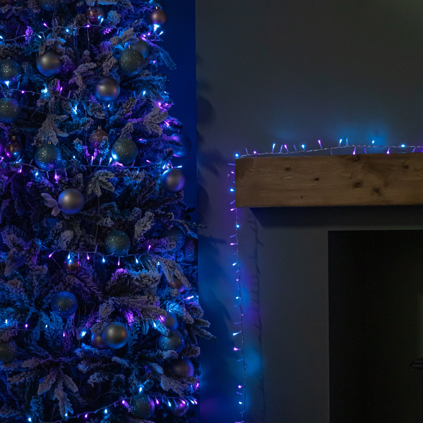 50m 2000 LED TreeBrights Christmas String Lights with Timer in Rainbow on Clear Cable