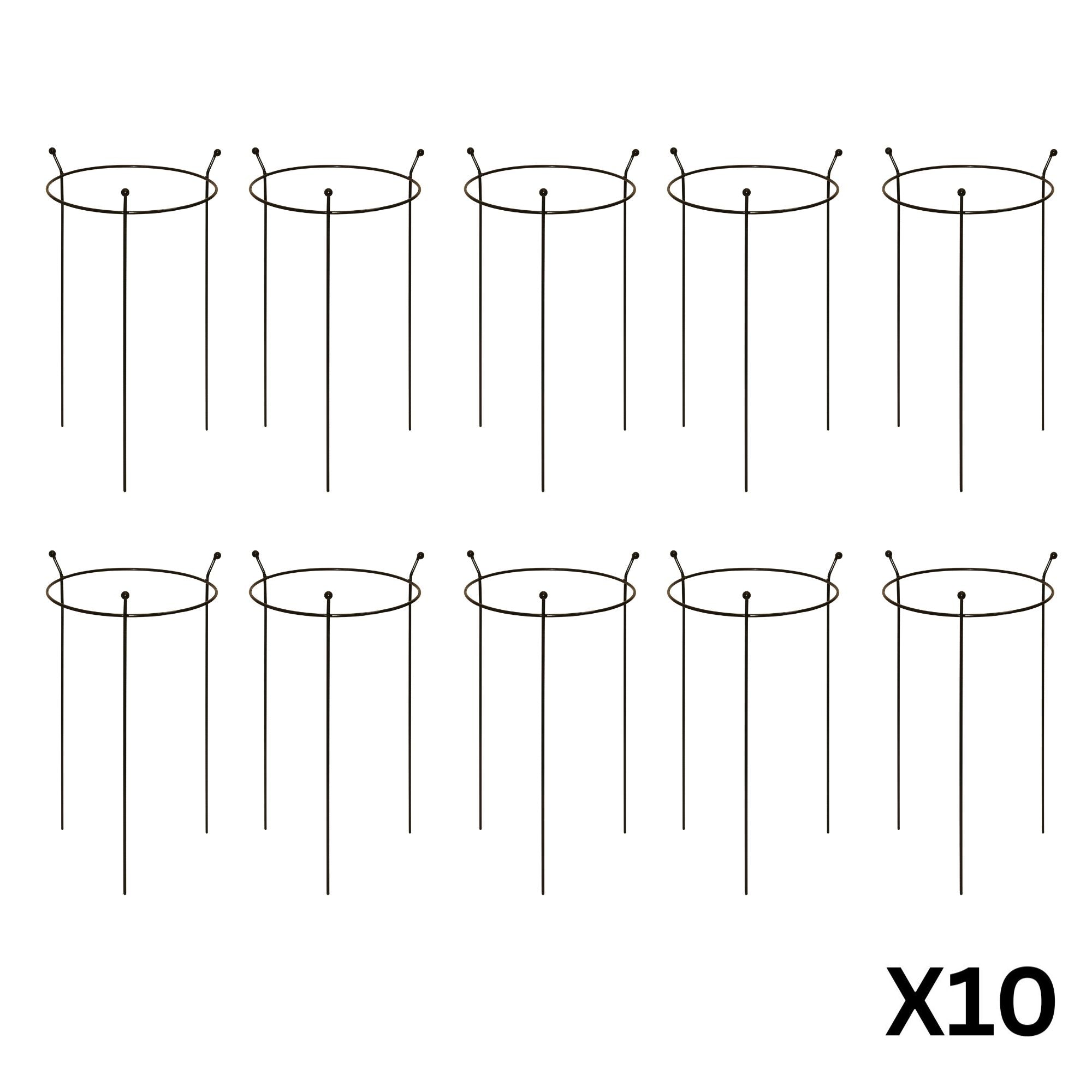 10 Pack of Small 60cm x 35cm Heavy Duty Black Steel Herbaceous Garden Plant Support Ring