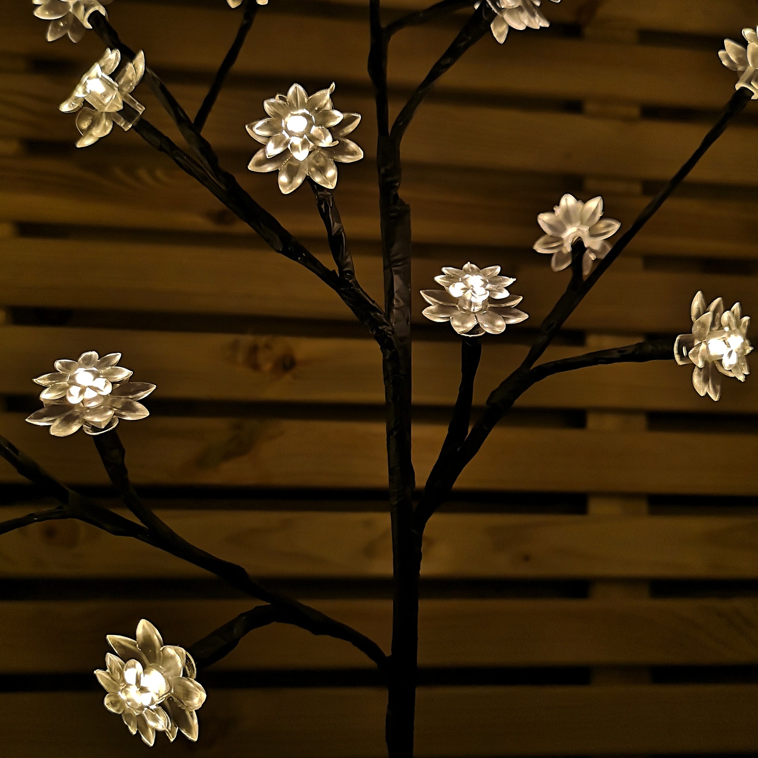 Set of 4 60cm Light up Lotus Christmas Path Lights with 64 Warm White LEDs
