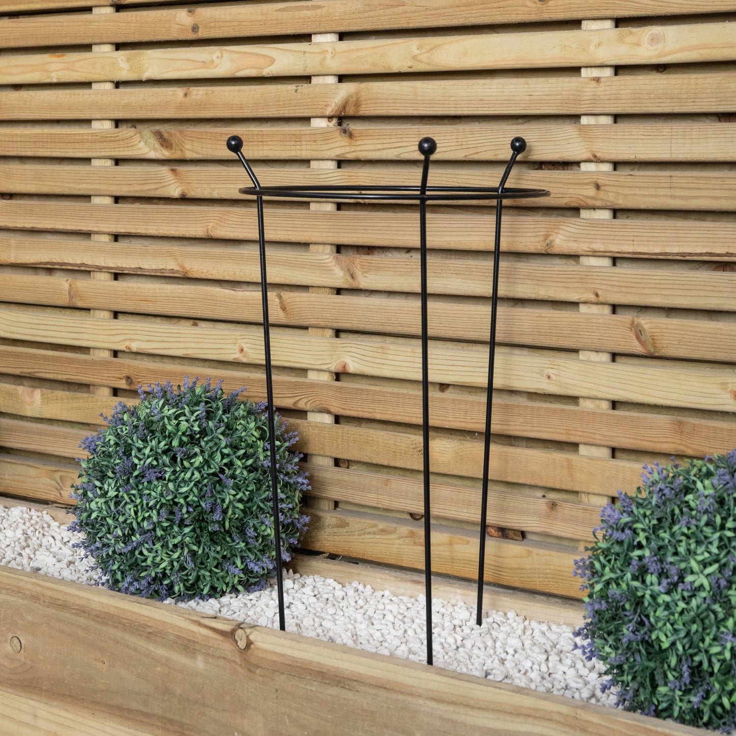 Small 60cm x 35cm Heavy Duty Black Steel Herbaceous Garden Plant Support Ring