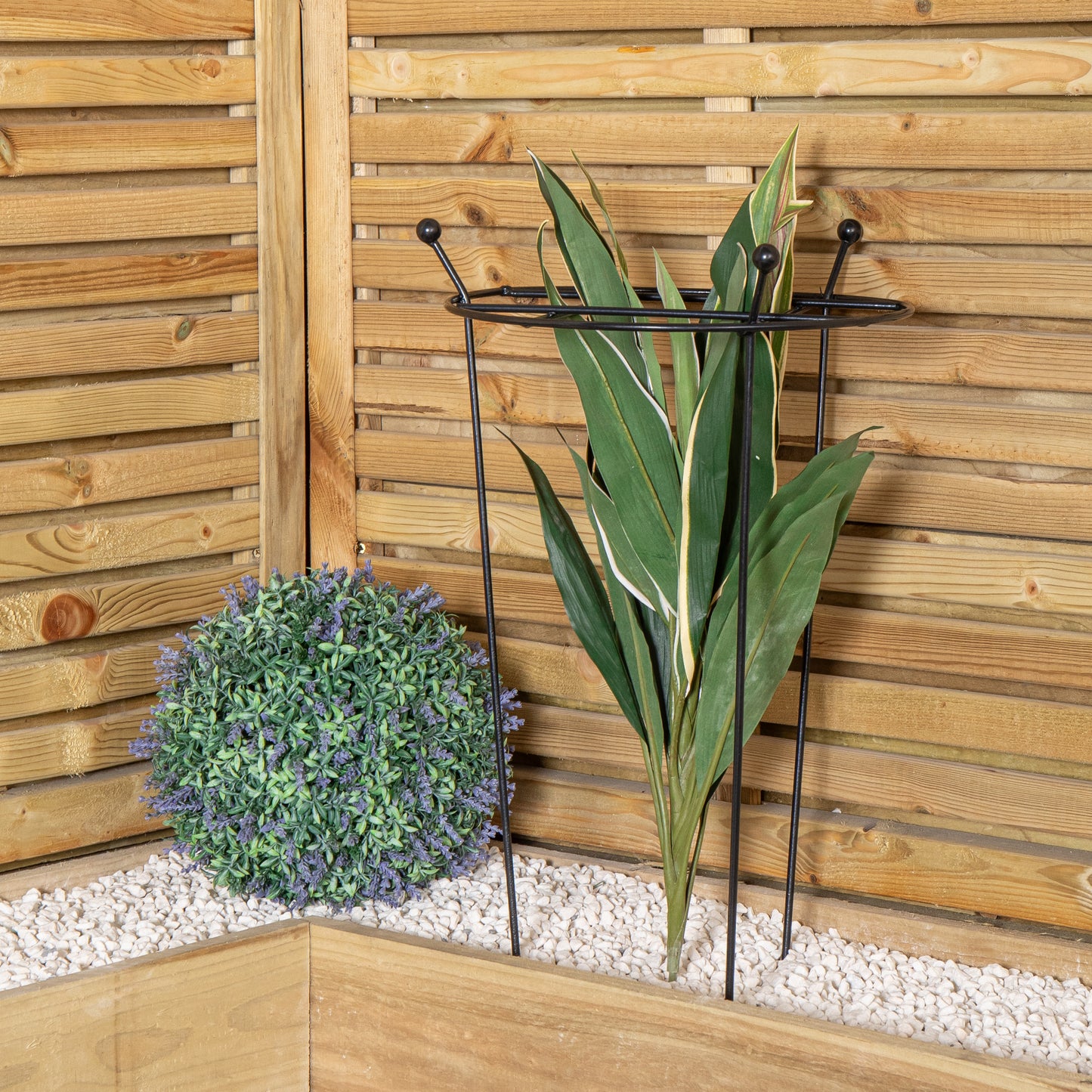 Pack of 2 Tom Chambers Cottage Heavy Duty Black Metal Steel Herbaceous Garden Plant Support Grow Through Small 60cm x 35cm