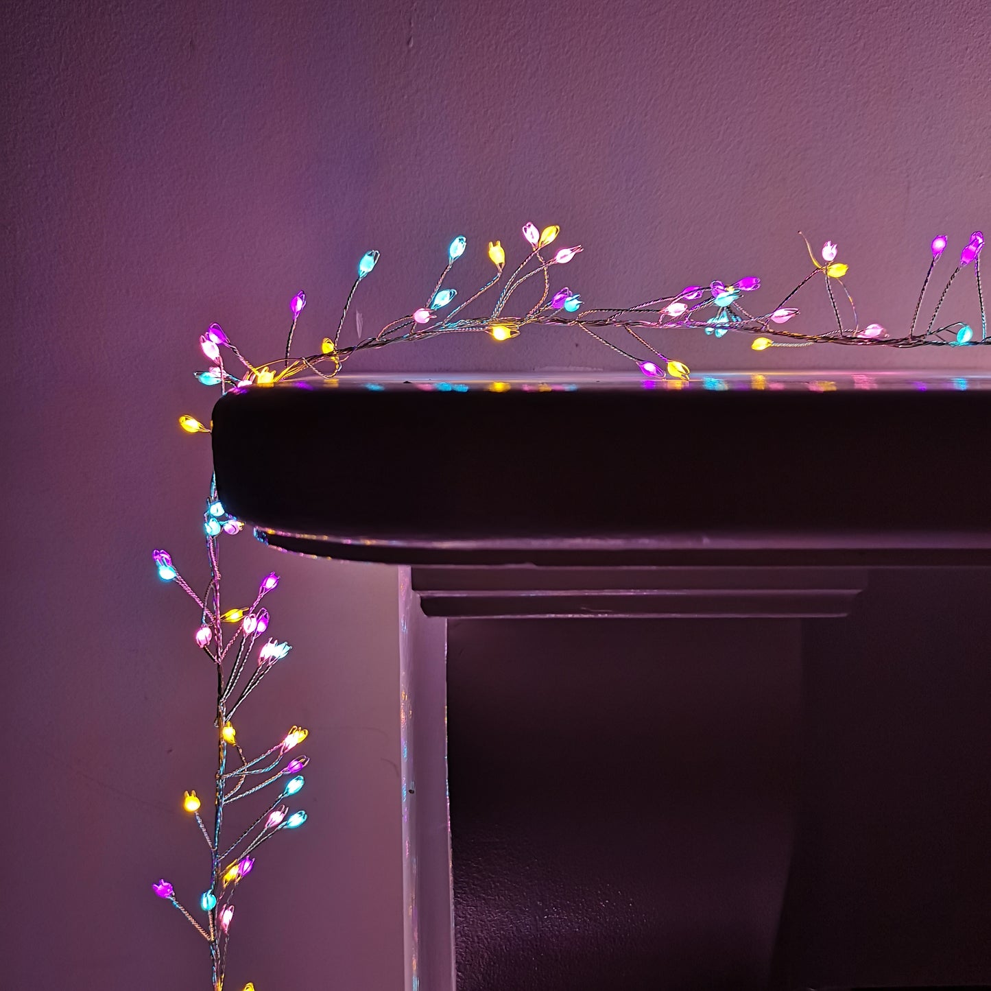 800 LED 5.5m Premier Christmas Indoor Outdoor Wire Cluster Lights with Timer in Rainbow