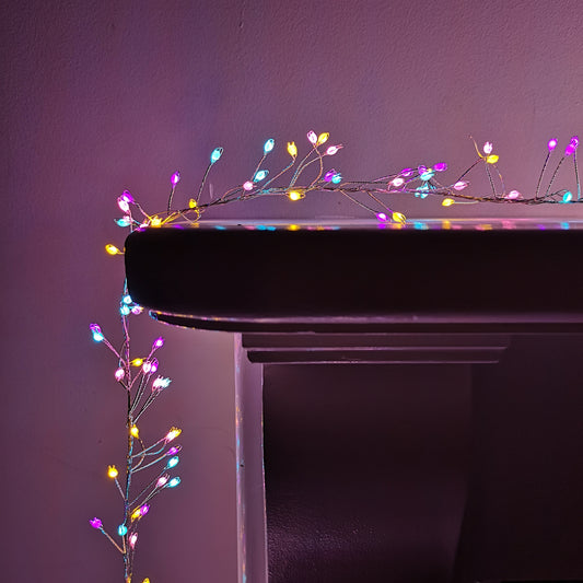 800 LED 5.5m Premier Christmas Indoor Outdoor Wire Cluster Lights with Timer in Rainbow